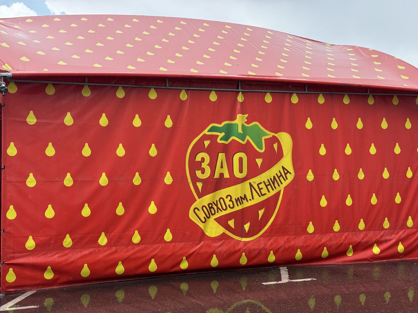 клубника, совхоз имени ленина , киоск клубничка, праздник урожая, ленинский городской округ,