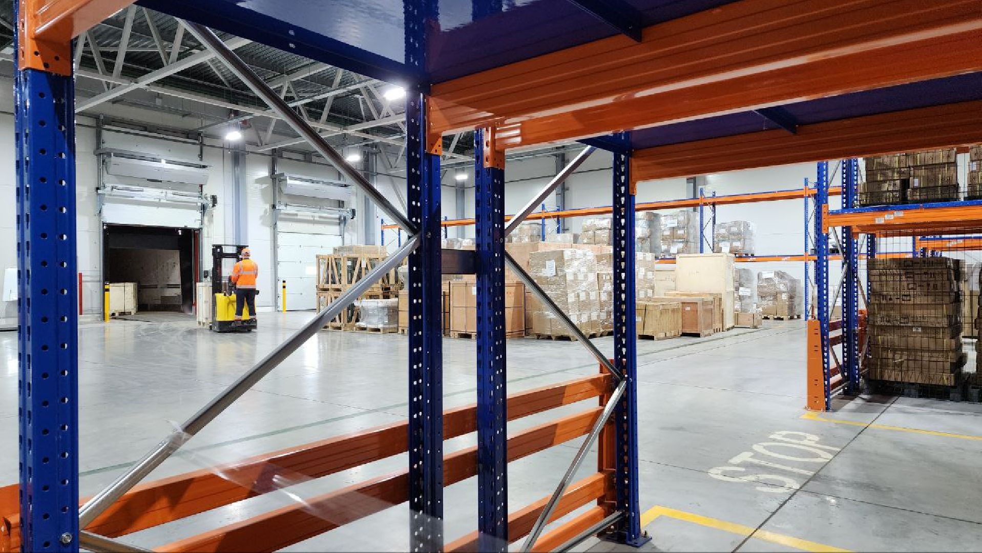 Дмитров, ТЛЦ Белый Раст, РЖД, Логистика, Минтранс,