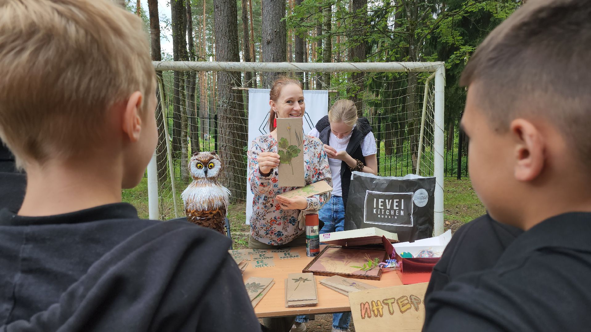 Егорьевск, Подмосковье, Московская область,