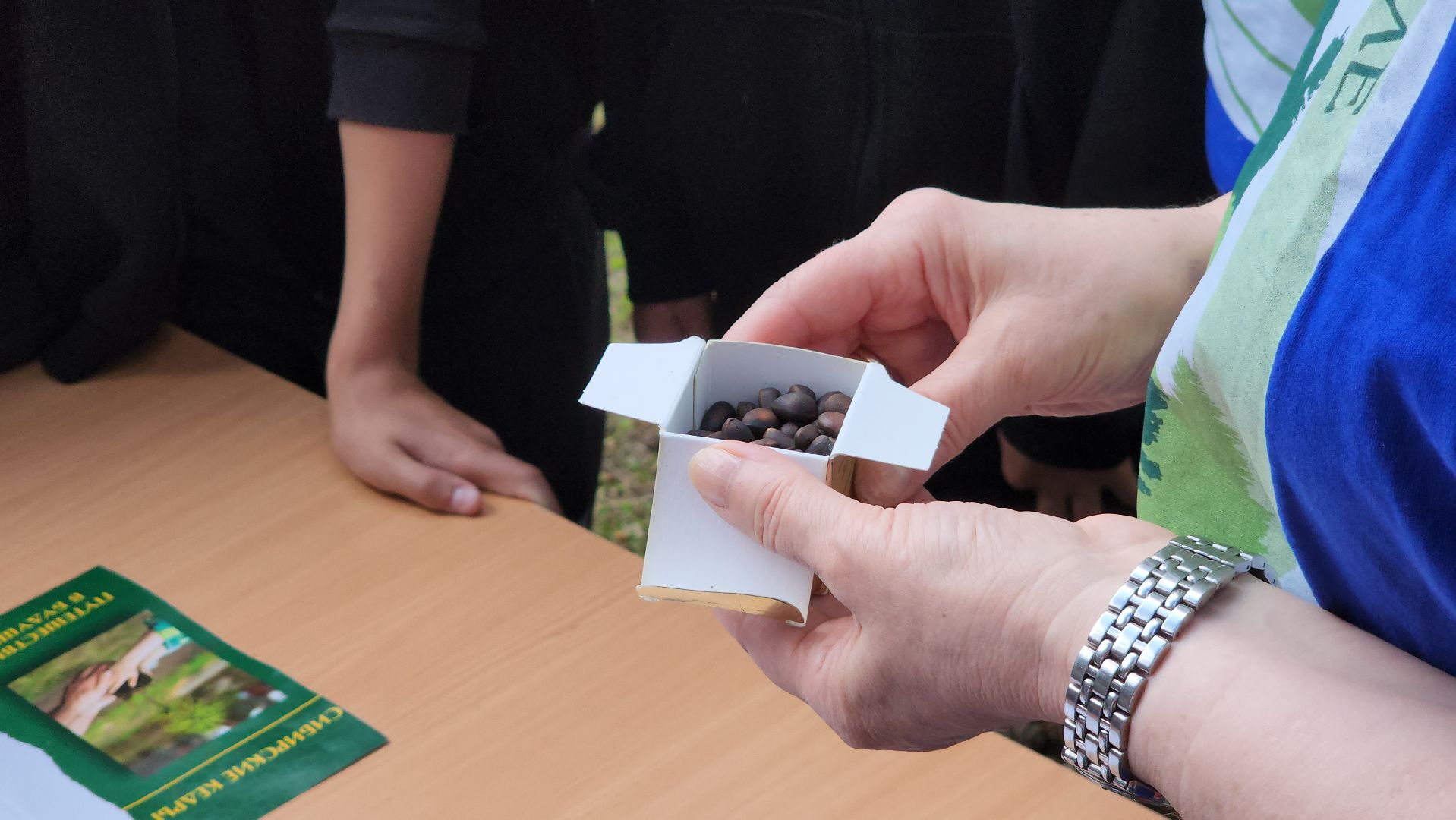 Егорьевск, Подмосковье, Московская область,