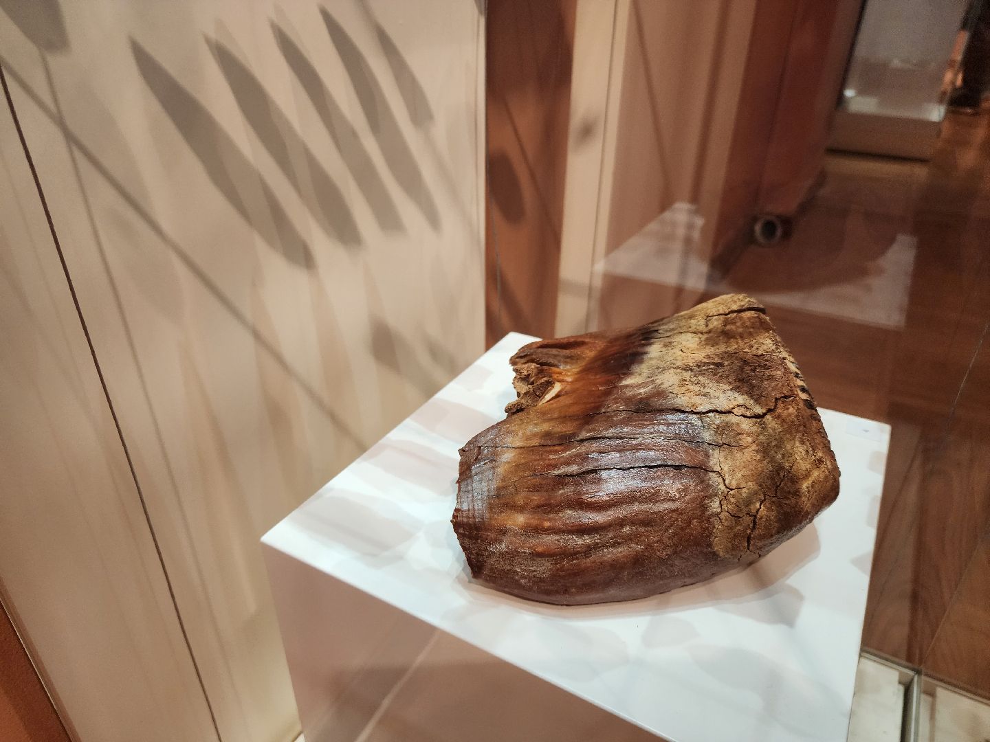 Зарайск, Археологическая выставка, Зарайский музей, Стоянка древнего человека,