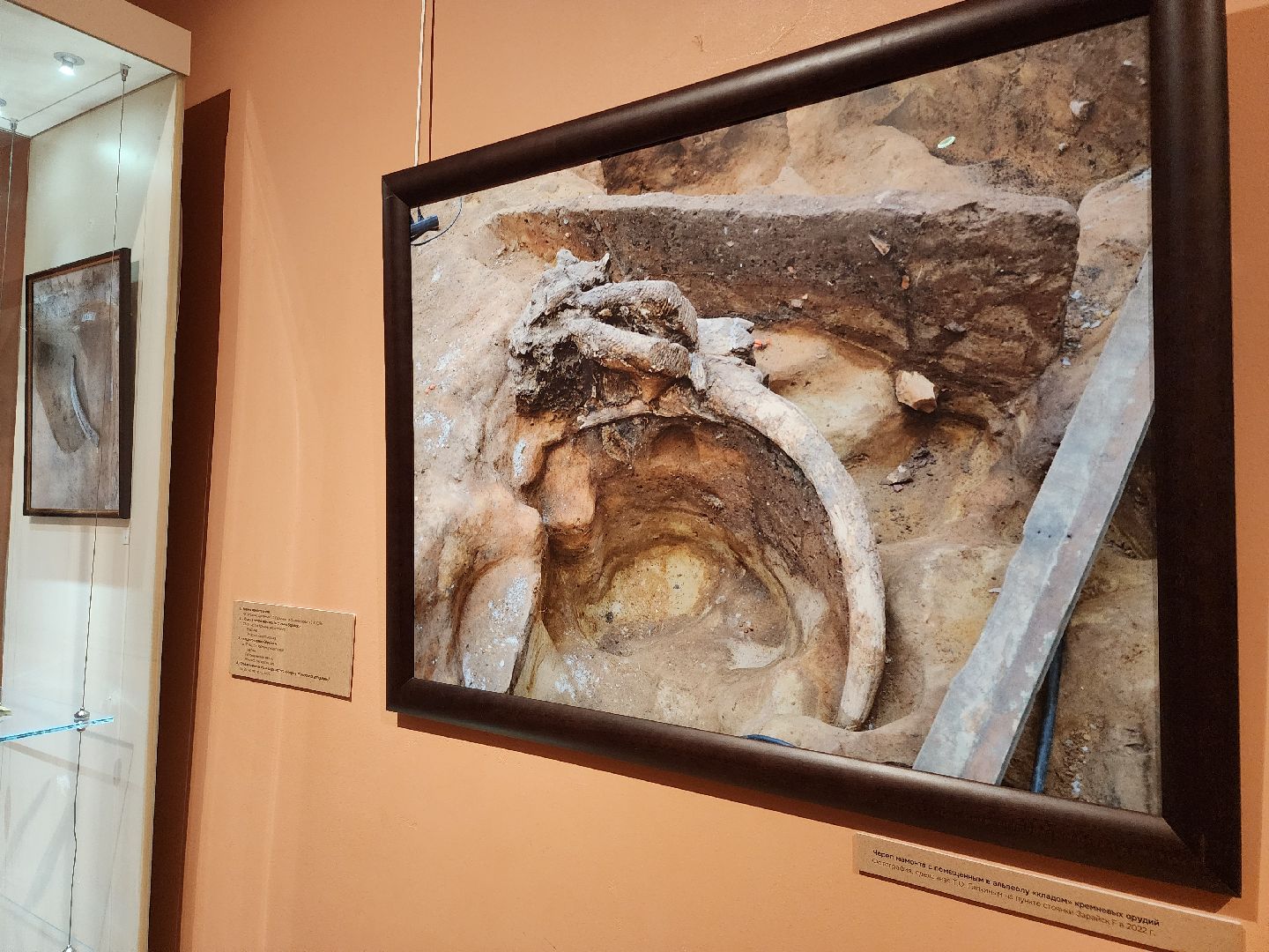 Зарайск, Археологическая выставка, Зарайский музей, Стоянка древнего человека,