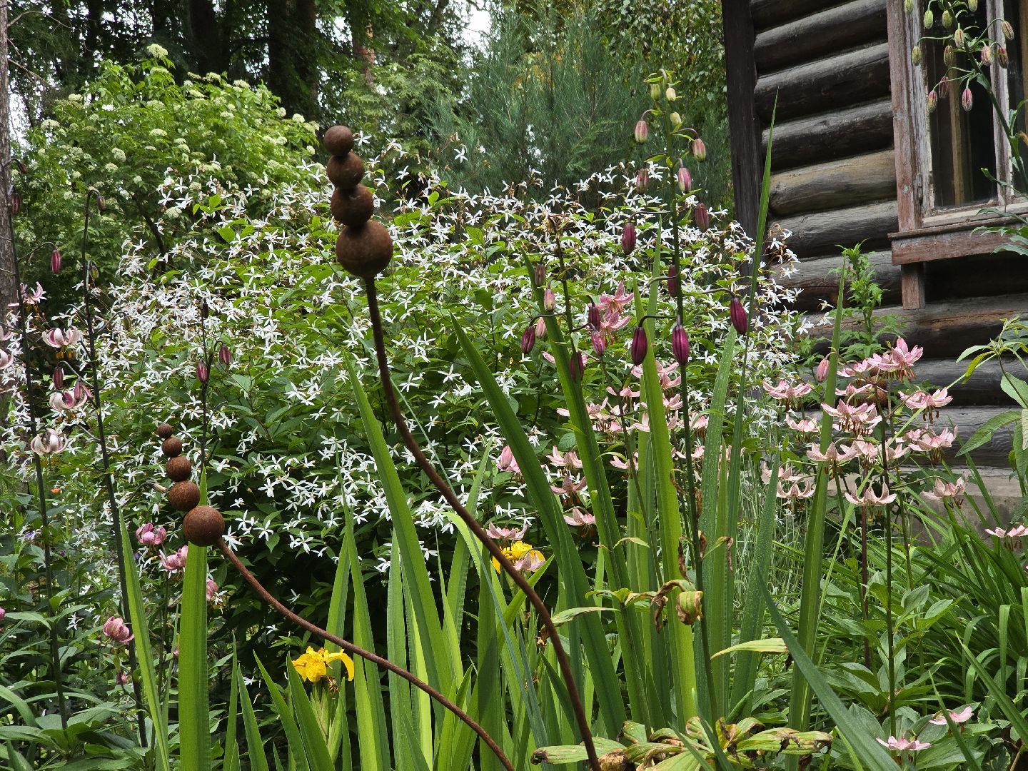 Коломна, сад, цветоводство, экскурсии,