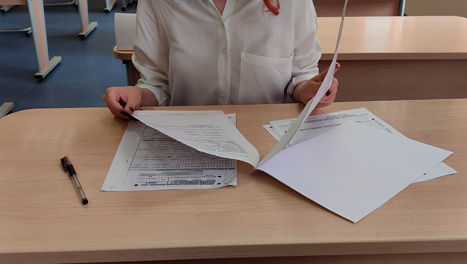 егэ, школа, 100 баллов на ЕГЭ , литература, русский язык,