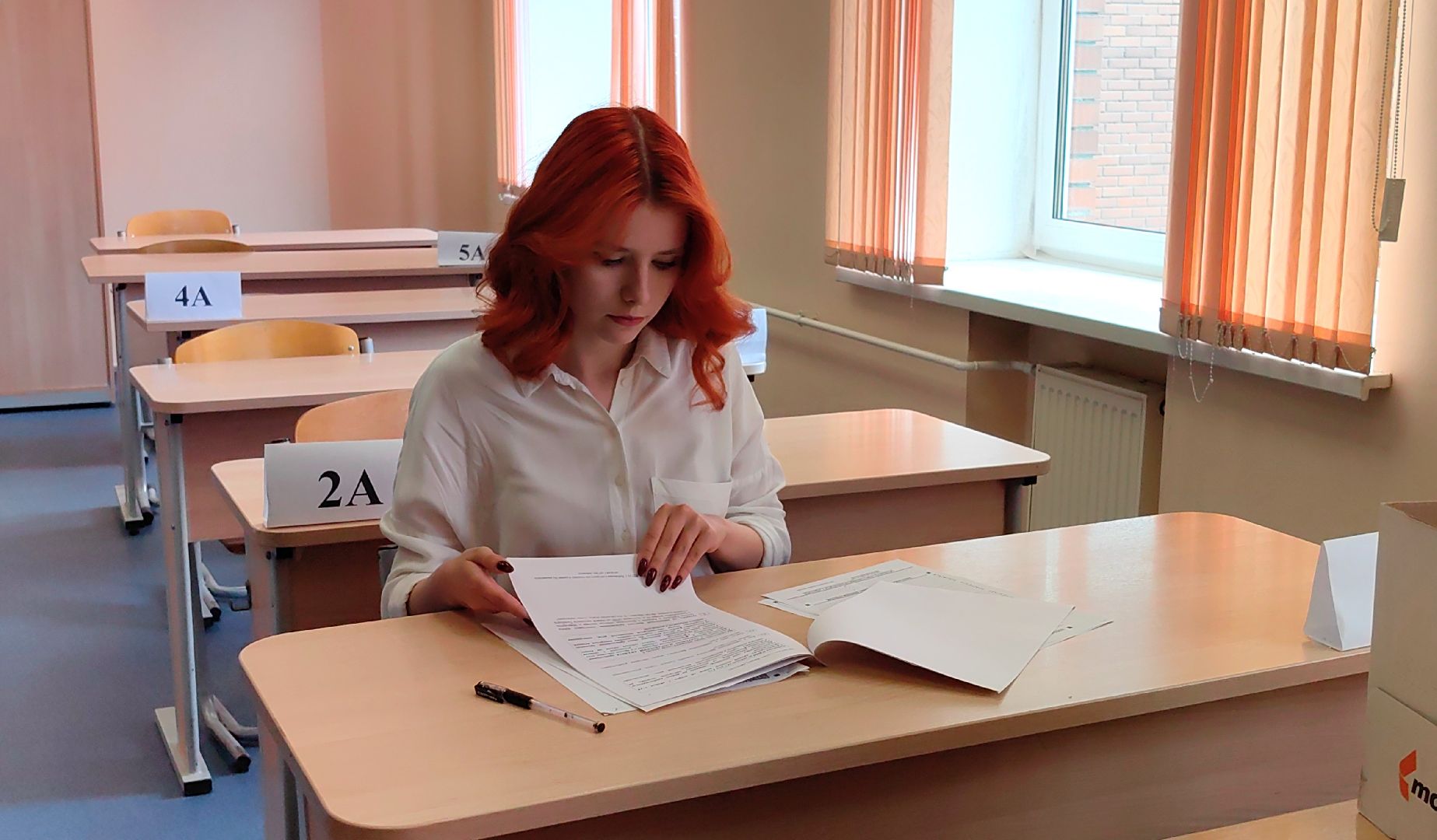 егэ, школа, 100 баллов на ЕГЭ , литература, русский язык,