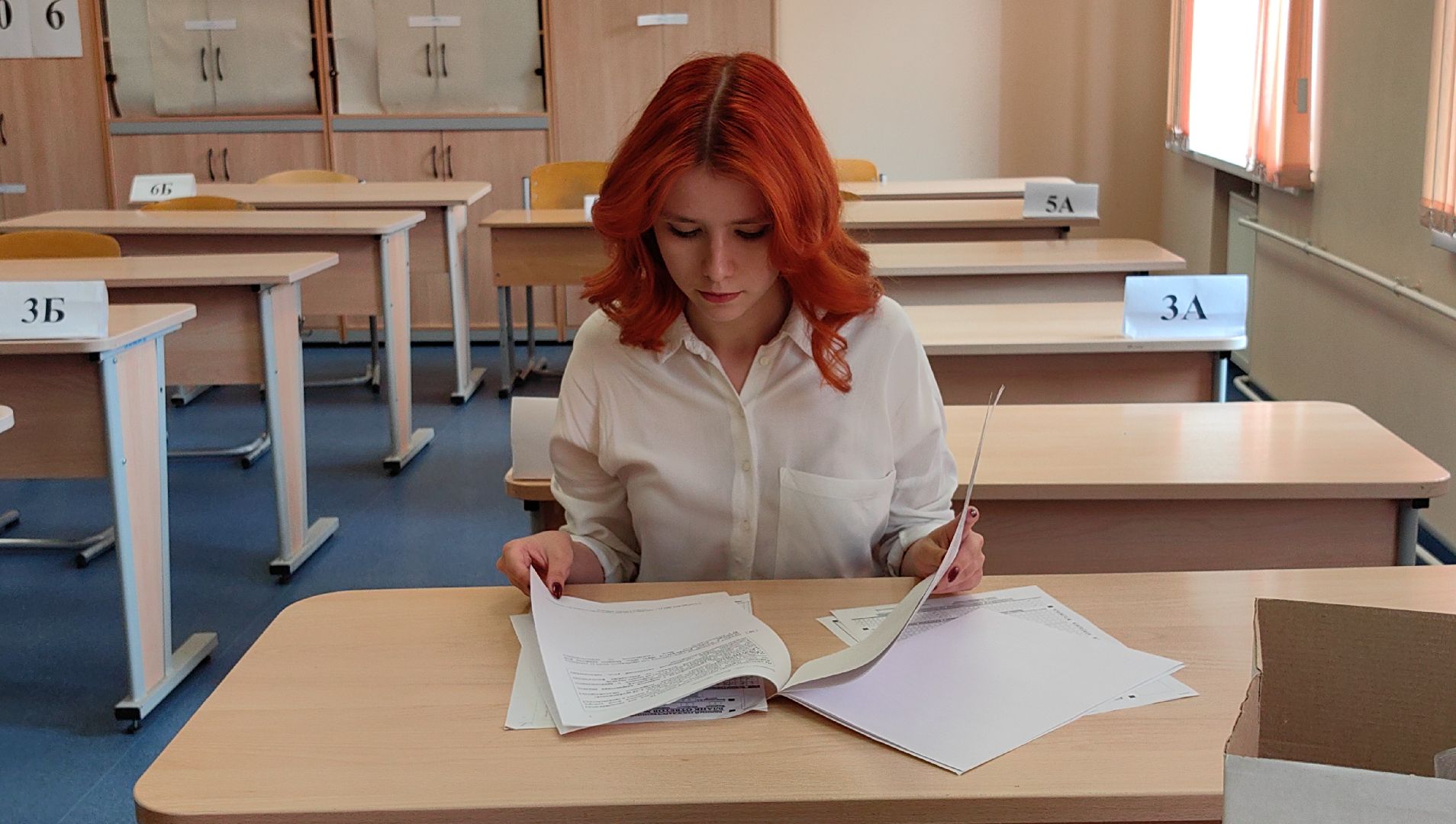 егэ, школа, 100 баллов на ЕГЭ , литература, русский язык,