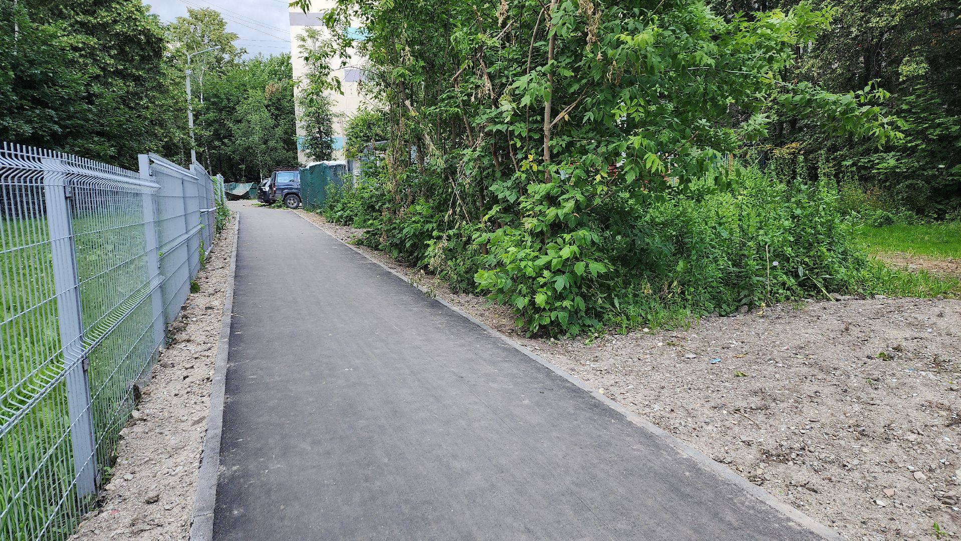 вертикалки, пушкино, пешеходная дорожка, тротуар, новый тротуар, пешком в подмосковье,региональная программа,