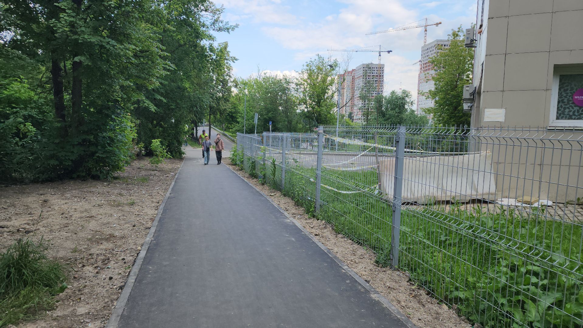 вертикалки, пушкино, пешеходная дорожка, тротуар, новый тротуар, пешком в подмосковье,региональная программа,