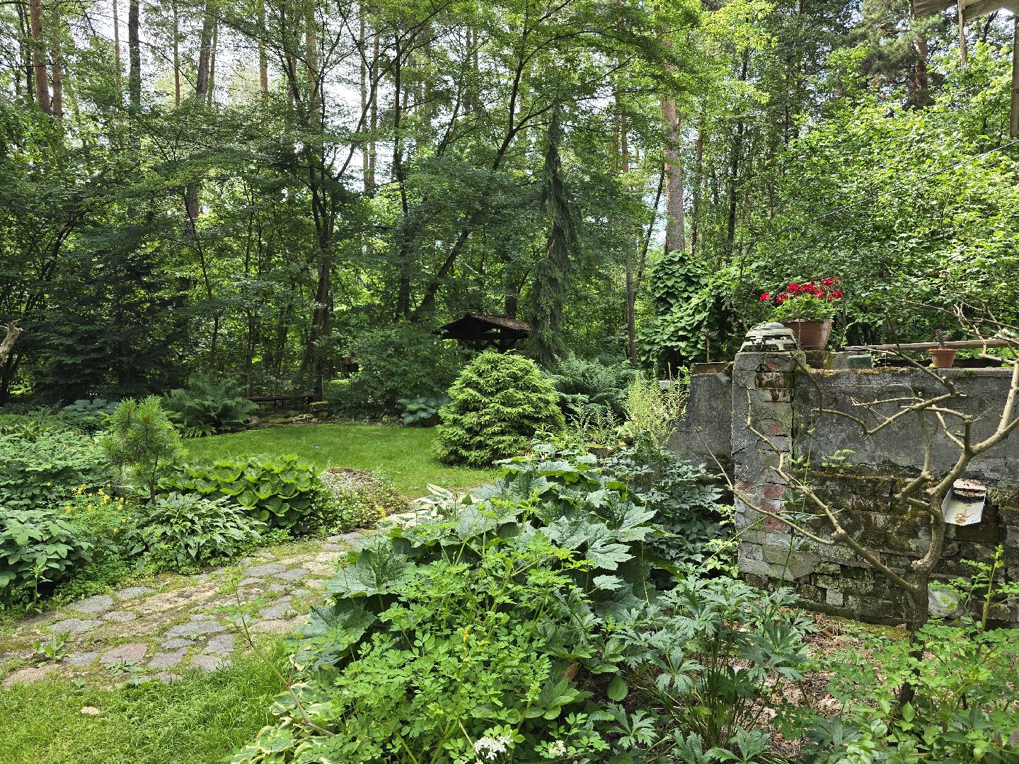 Коломна, цветоводство, сад, цветы,