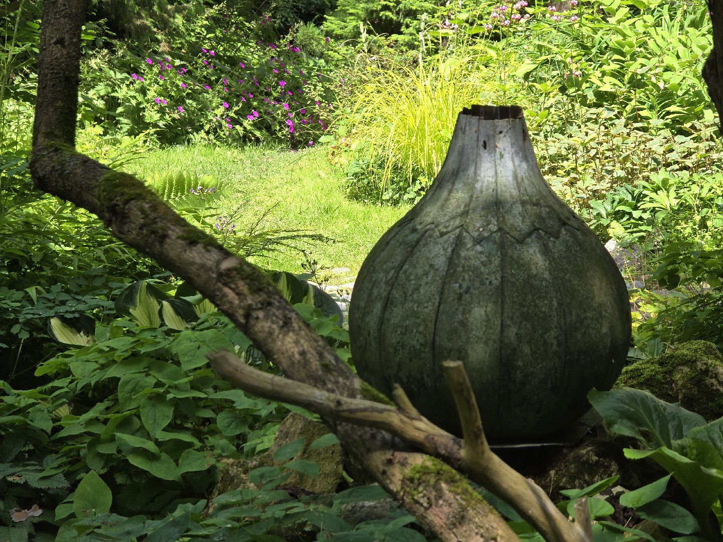 Коломна, цветоводство, сад, цветы,