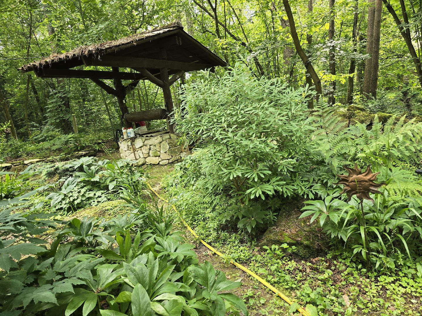 Коломна, цветоводство, сад, цветы,