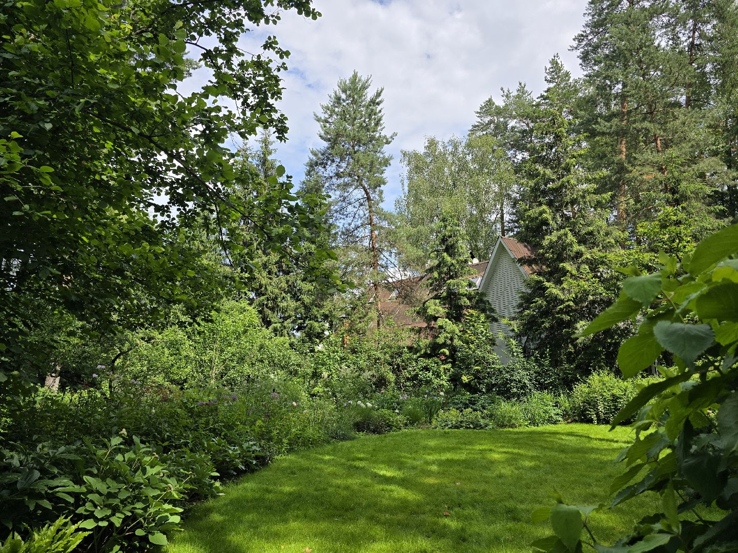 Коломна, цветоводство, сад, цветы,