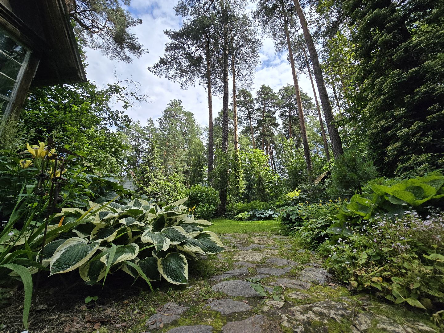 Коломна, цветоводство, сад, цветы,
