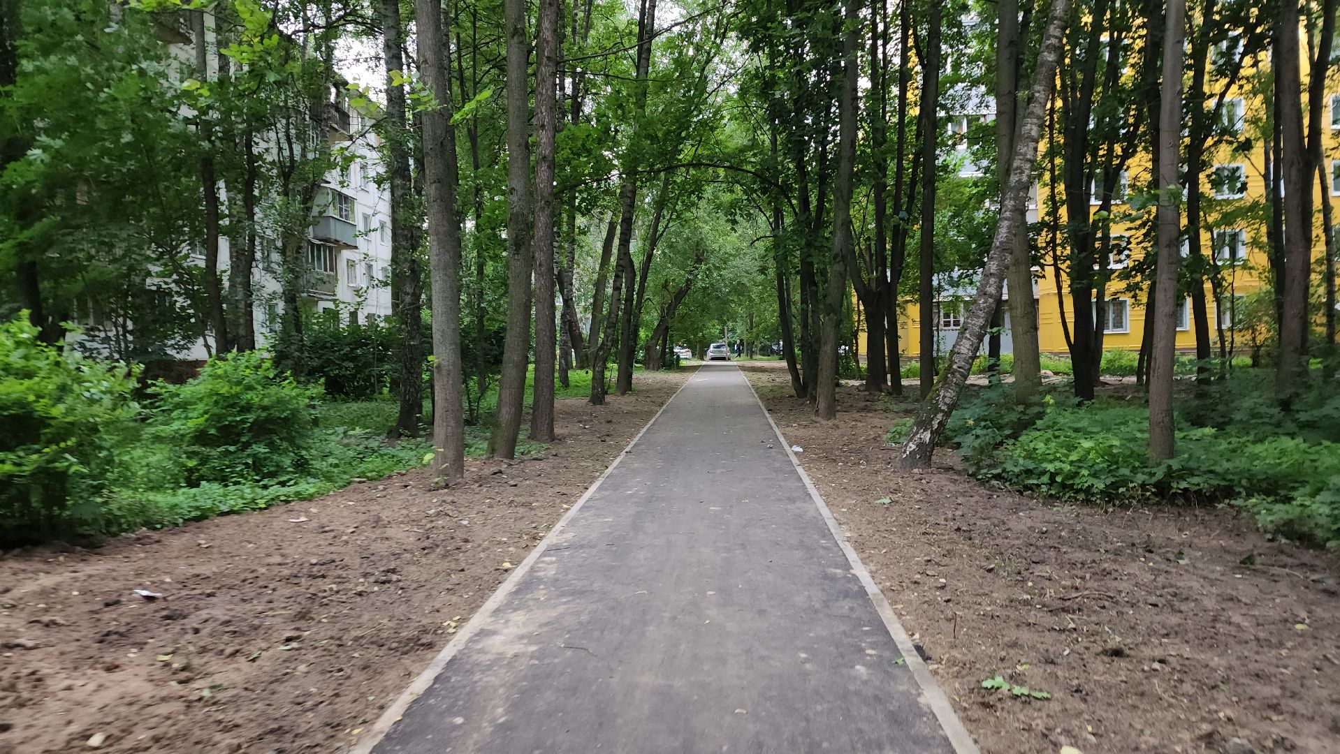 вертикалки, пушкино, тротуар, новый тротуар, пешком в подмосковье, пешеходная дорожка, благоустройство, микрорайон,серебрянка,