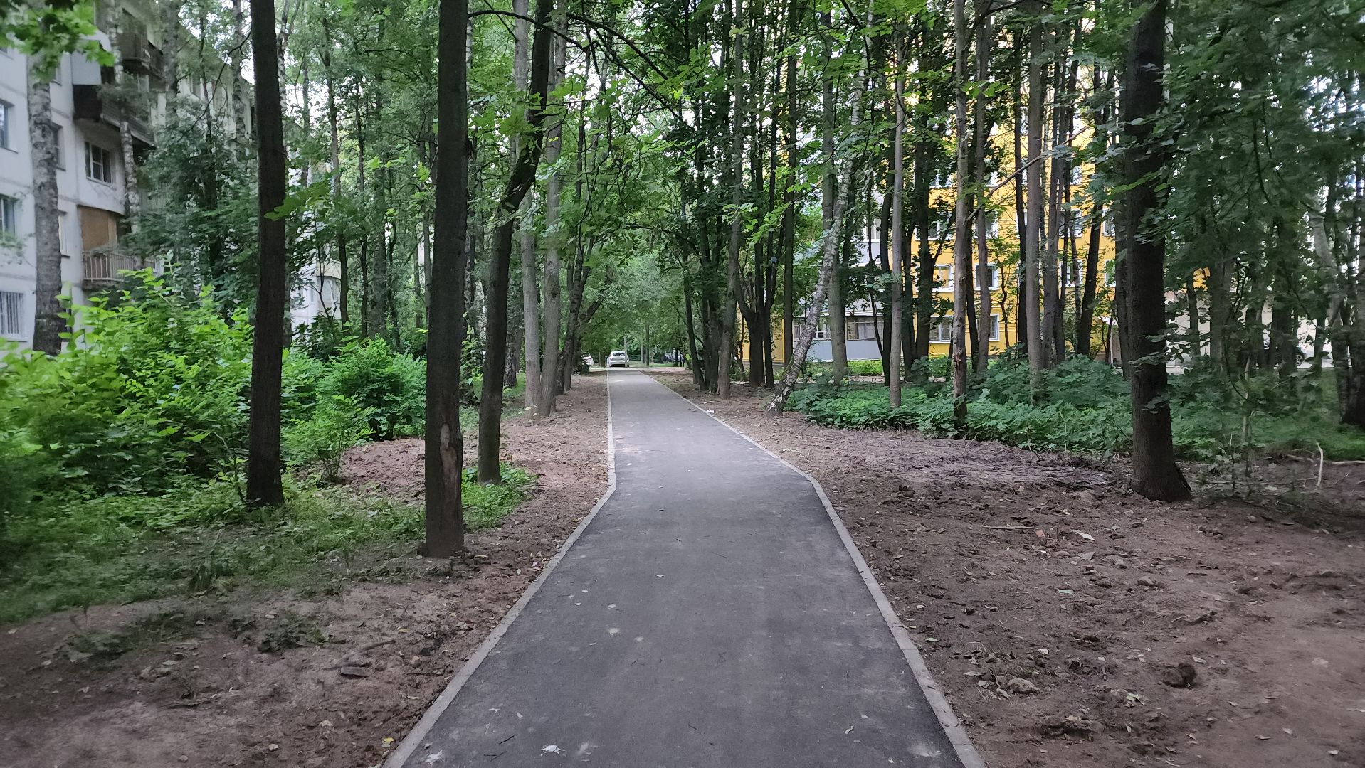 вертикалки, пушкино, тротуар, новый тротуар, пешком в подмосковье, пешеходная дорожка, благоустройство, микрорайон,серебрянка,