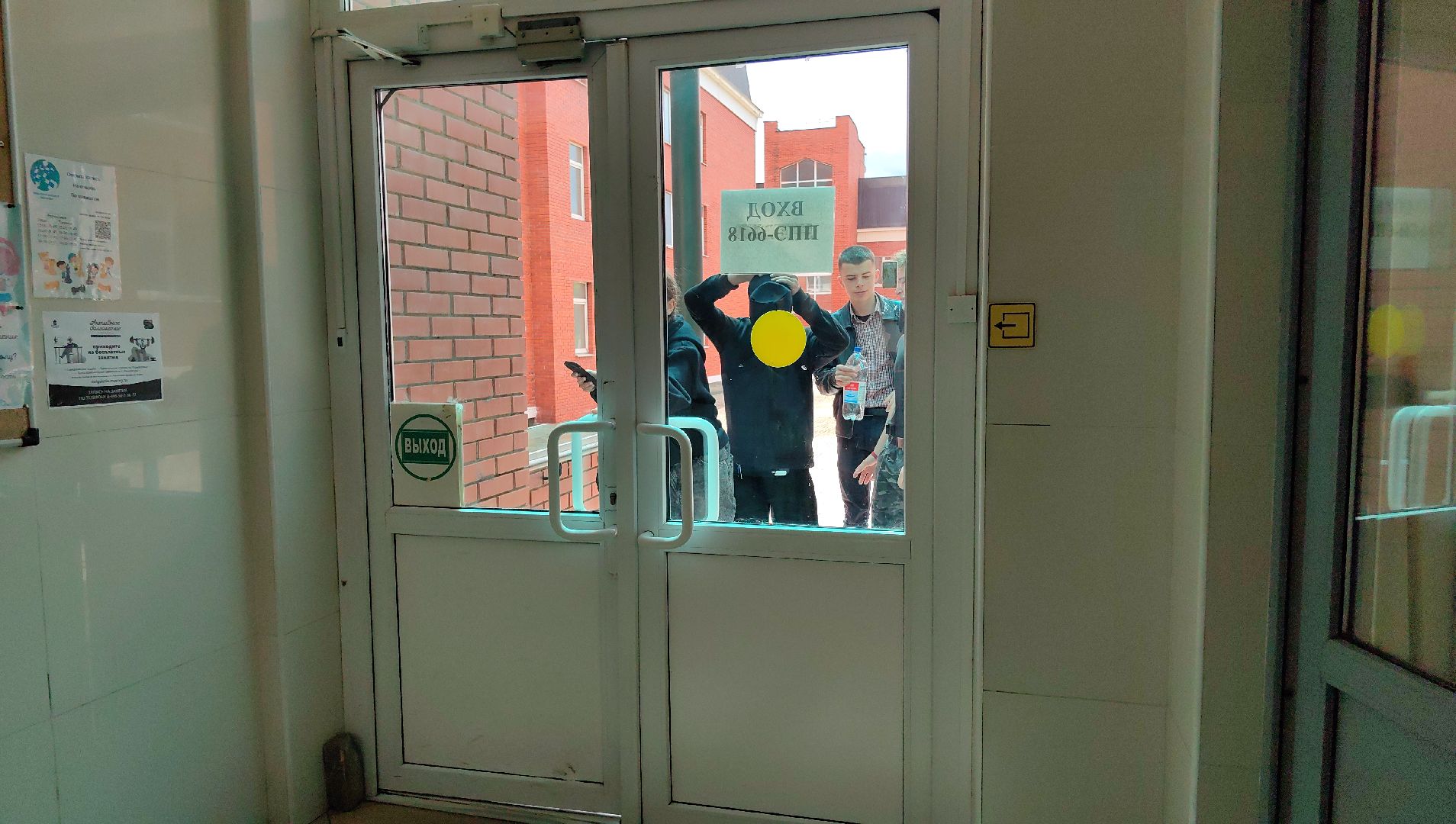 лицей, егэ, информатика, 100 баллв,