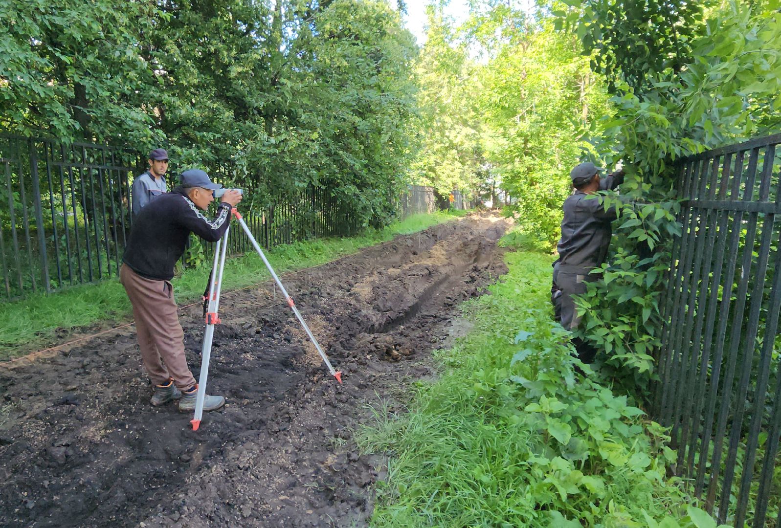 Химки, Благоустройство , ЖКХ, народные тропы,