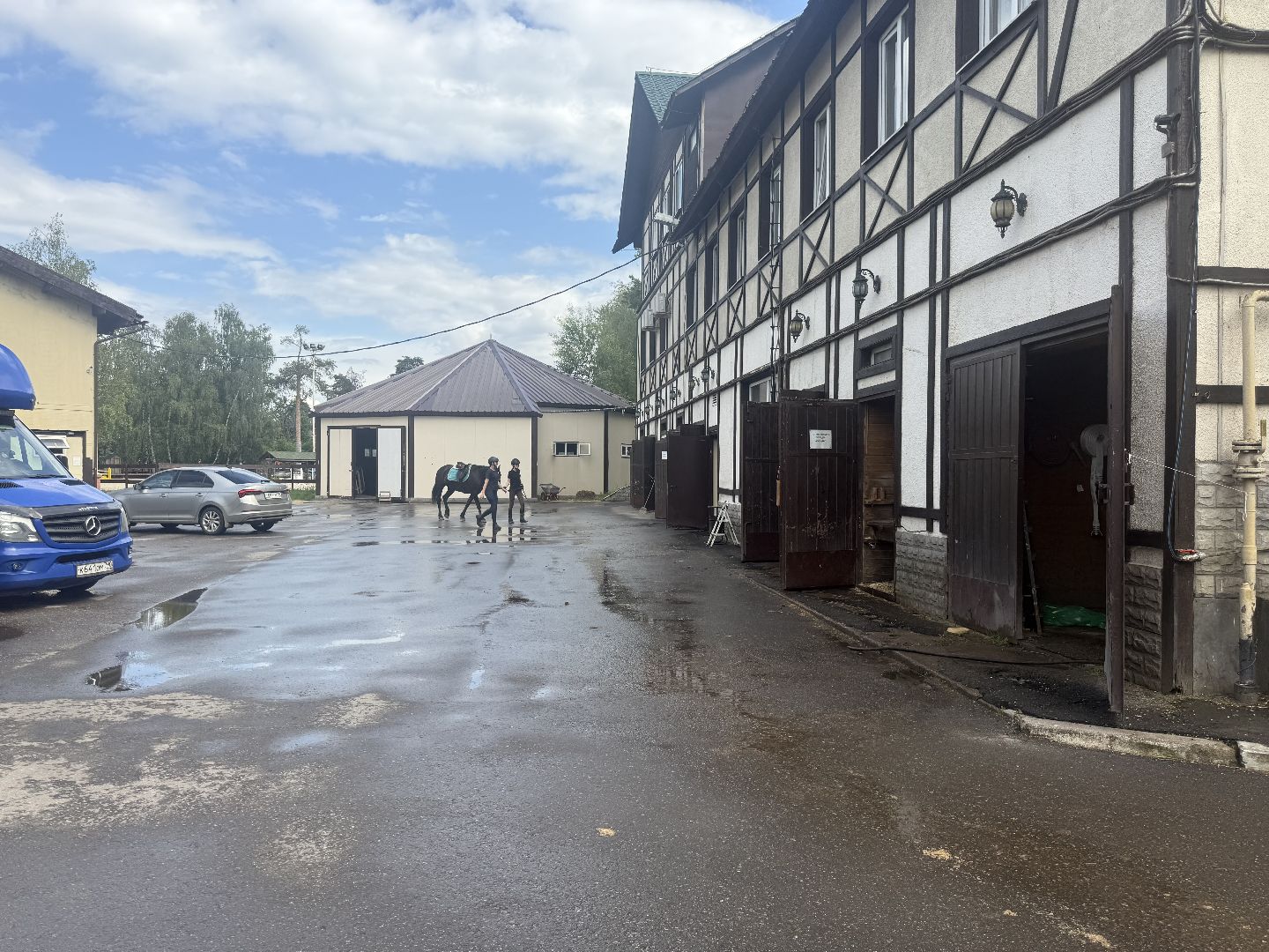 котельники, конный спорт, школа олимпийского резерва, белка, дети,