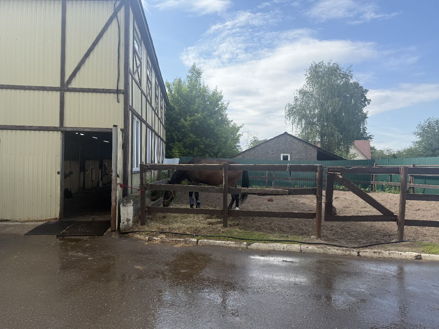 котельники, конный спорт, школа олимпийского резерва, белка, дети,