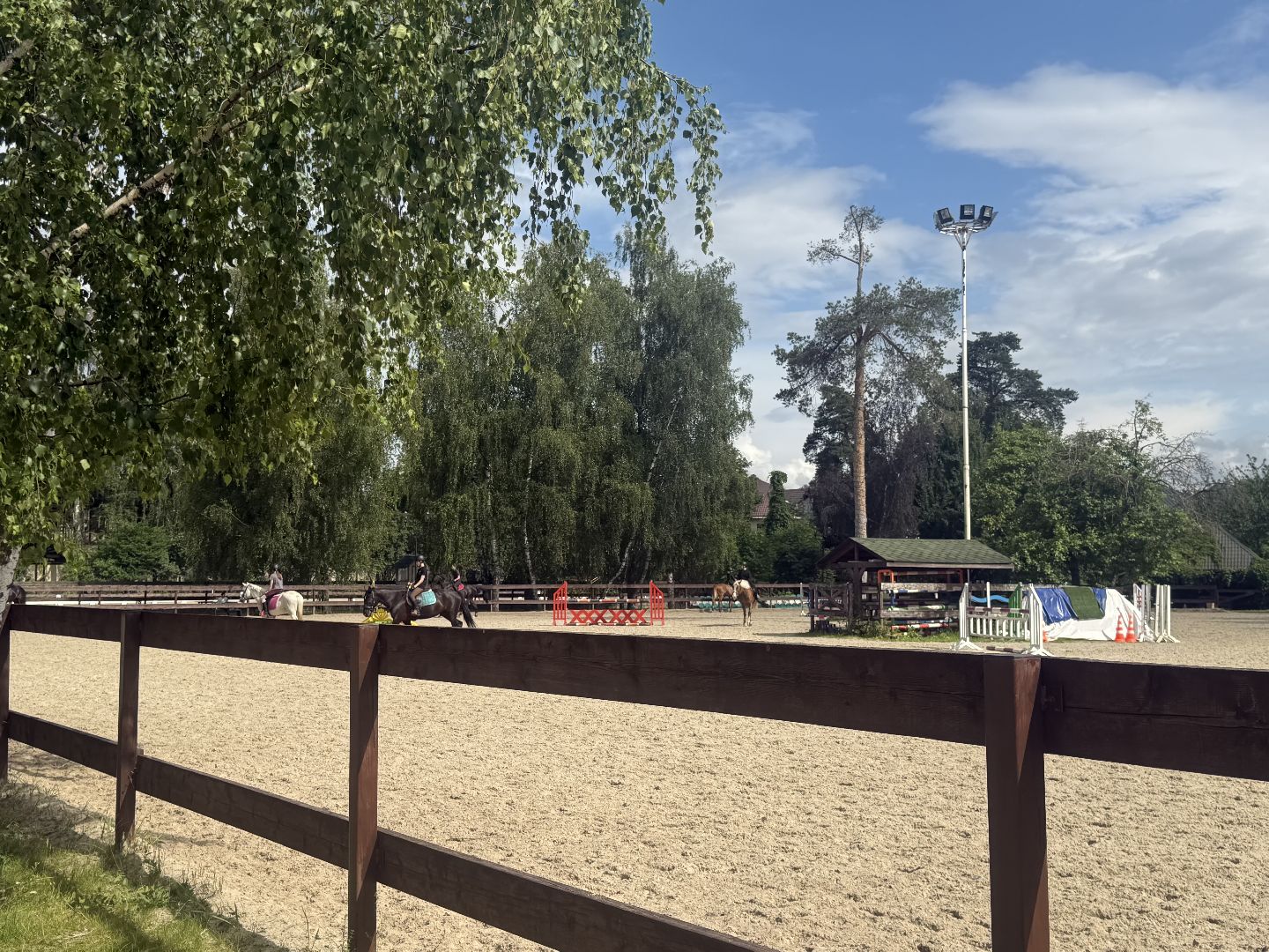 котельники, конный спорт, школа олимпийского резерва, белка, дети,