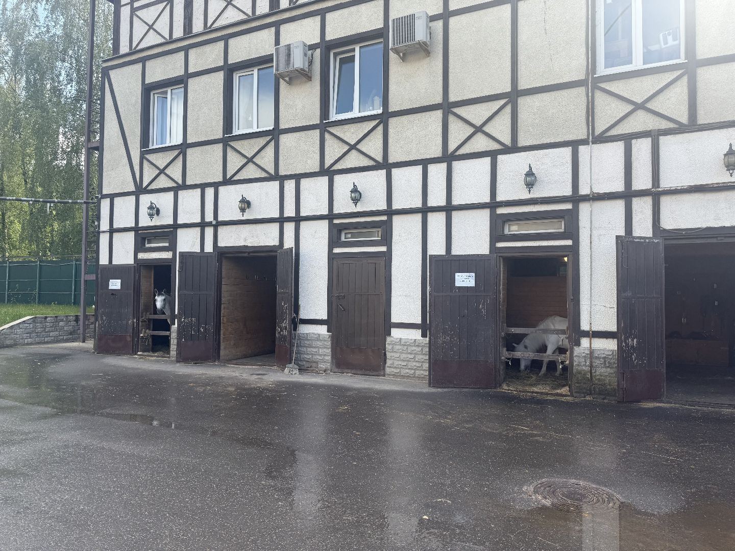 котельники, конный спорт, школа олимпийского резерва, белка, дети,