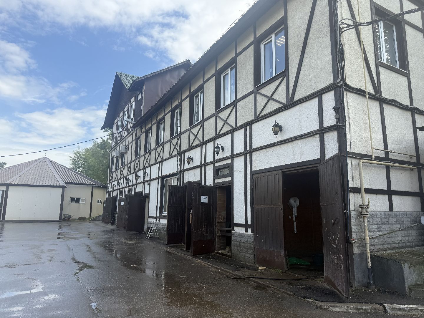 котельники, конный спорт, школа олимпийского резерва, белка, дети,