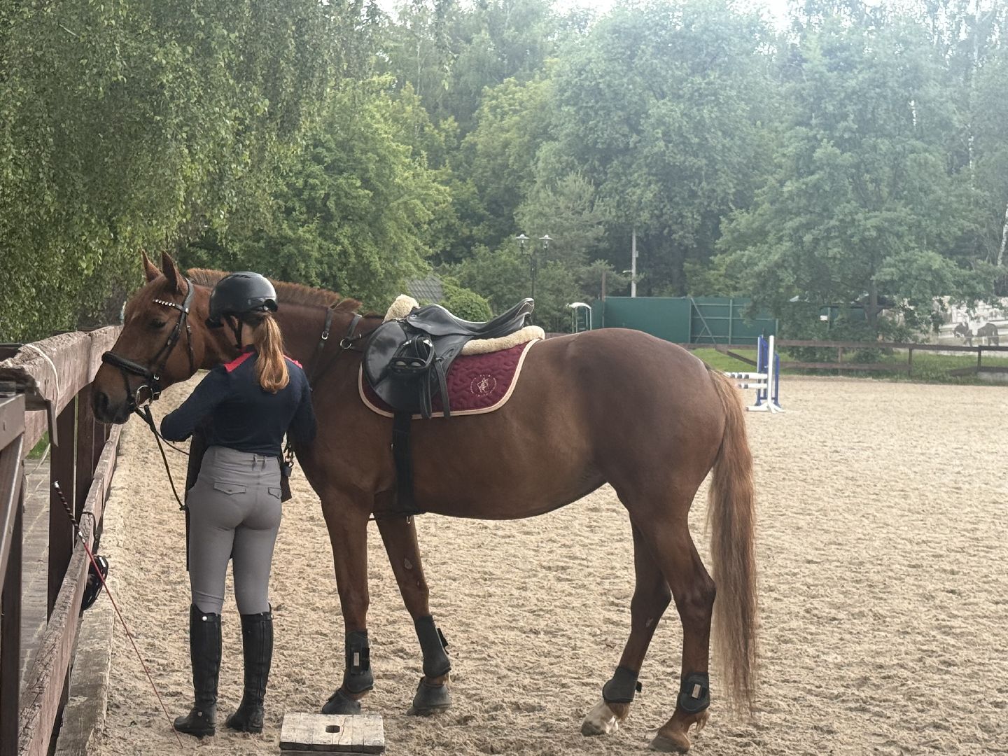 конкур, соревнования, конный спорт, школа олимпийского резерва, котельники, тренер, победа,