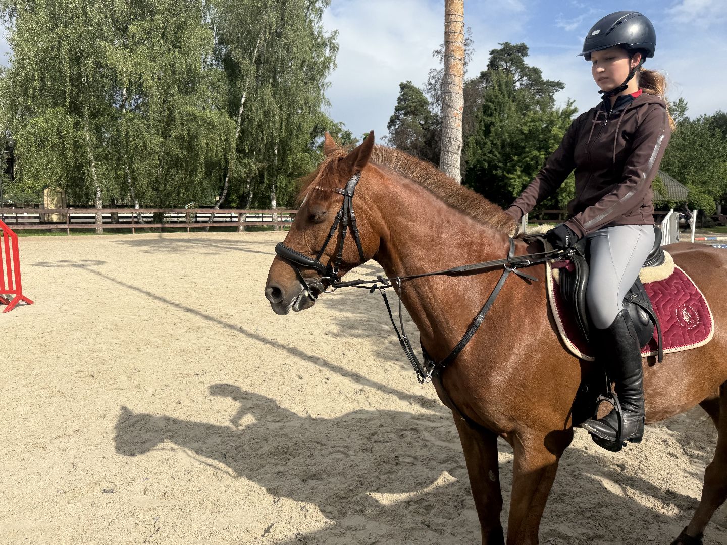 конкур, соревнования, конный спорт, школа олимпийского резерва, котельники, тренер, победа,