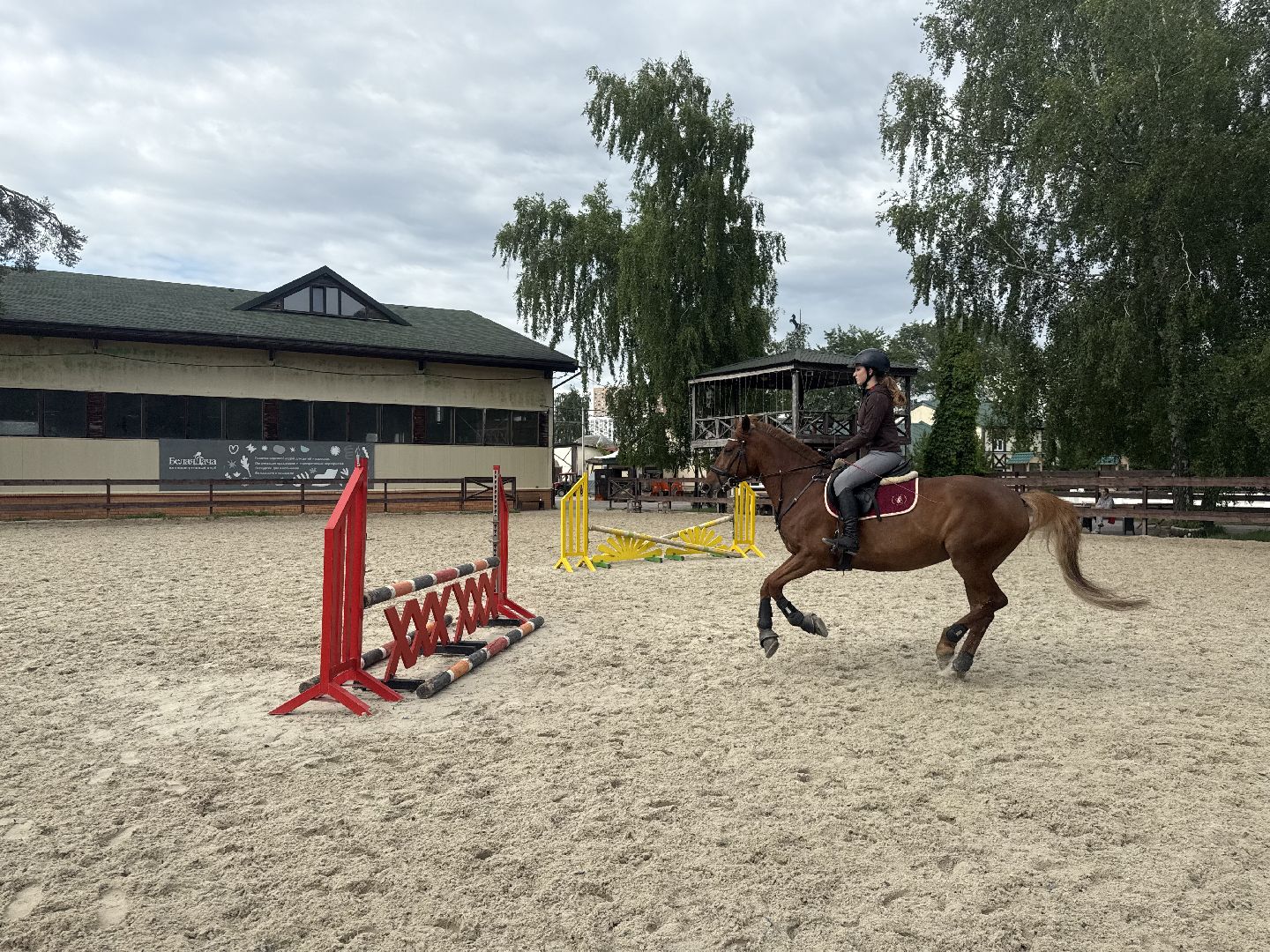 конкур, соревнования, конный спорт, школа олимпийского резерва, котельники, тренер, победа,