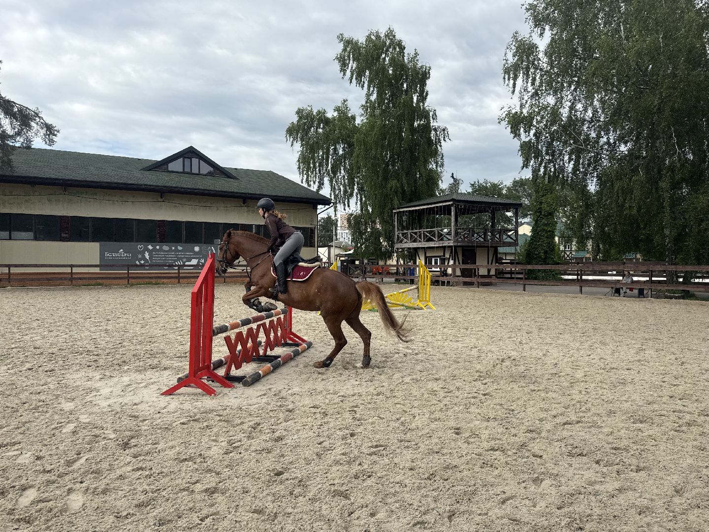 конкур, соревнования, конный спорт, школа олимпийского резерва, котельники, тренер, победа,