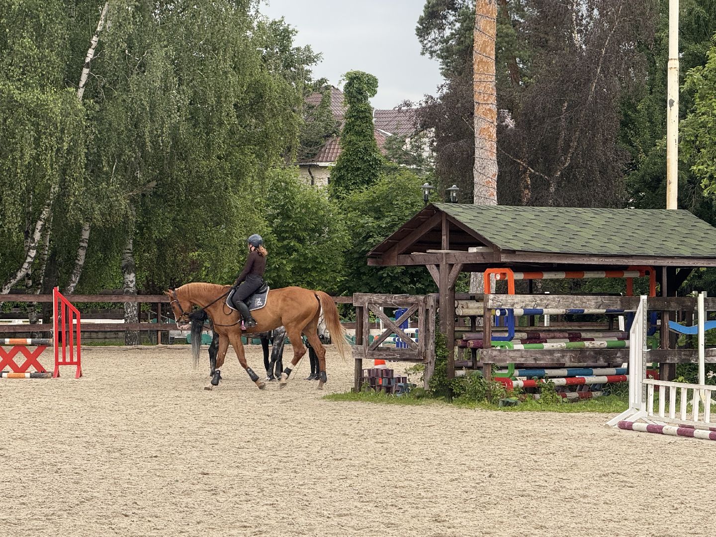 конкур, соревнования, конный спорт, школа олимпийского резерва, котельники, тренер, победа,