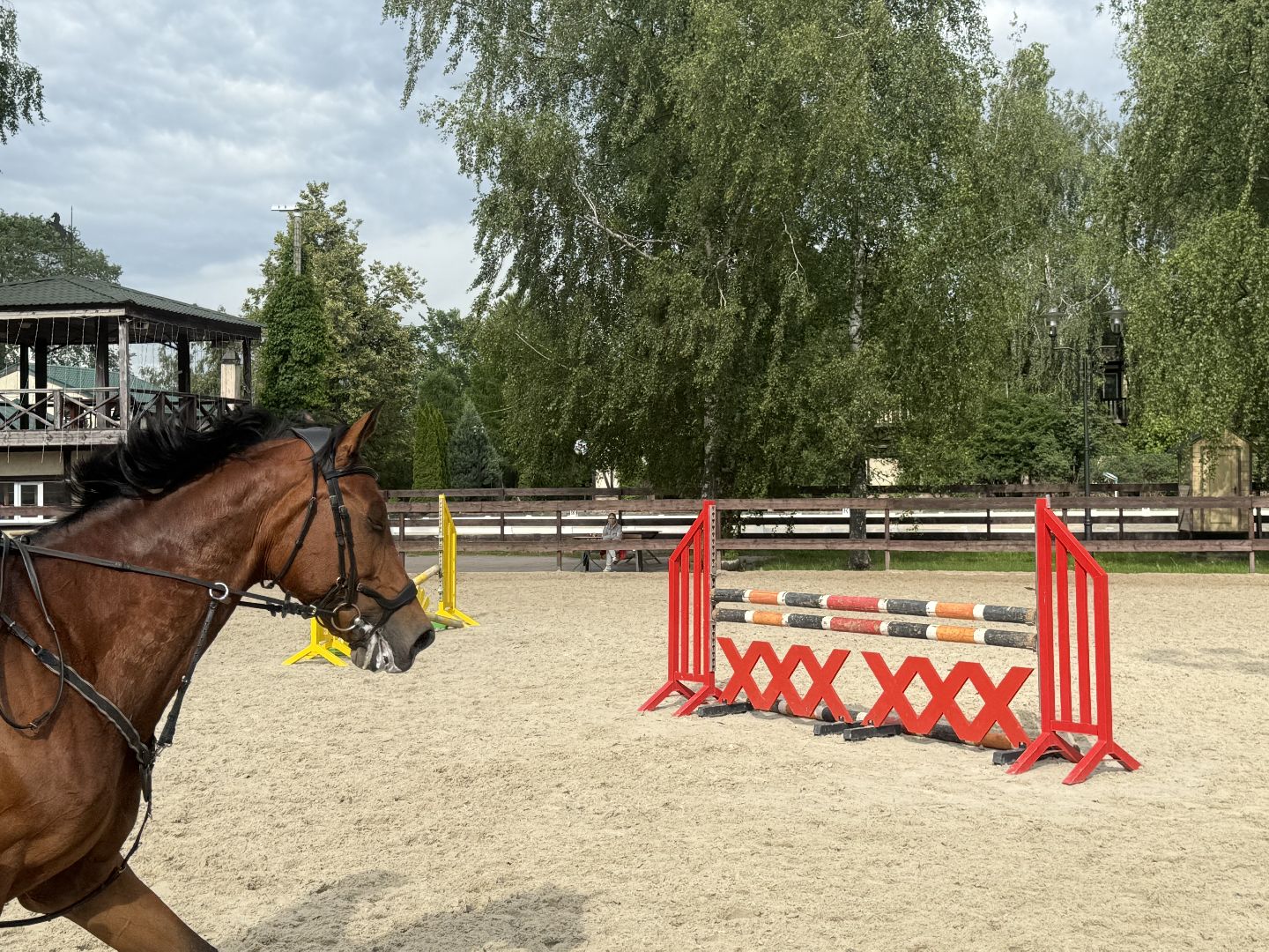 конкур, соревнования, конный спорт, школа олимпийского резерва, котельники, тренер, победа,