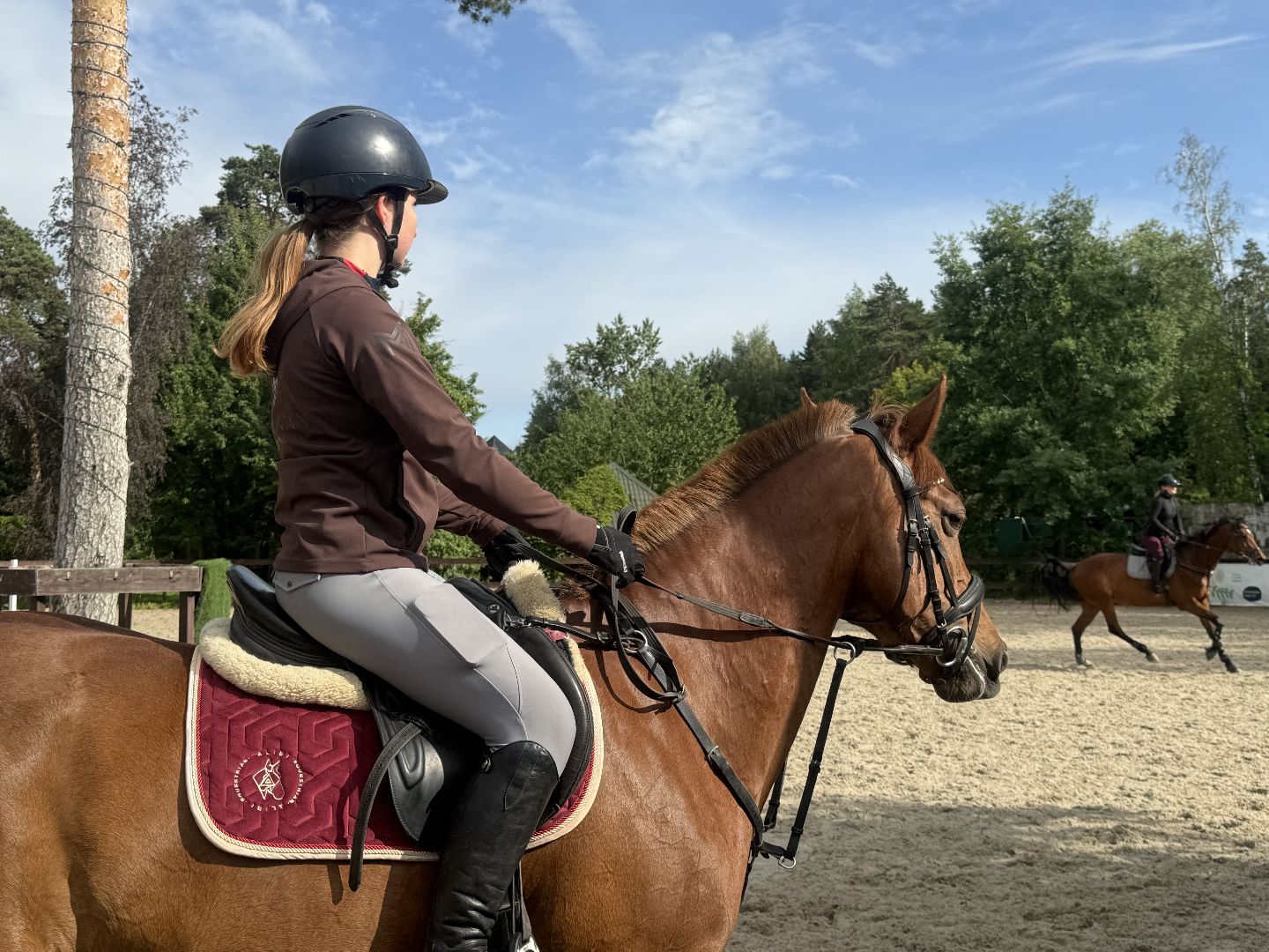 конкур, соревнования, конный спорт, школа олимпийского резерва, котельники, тренер, победа,