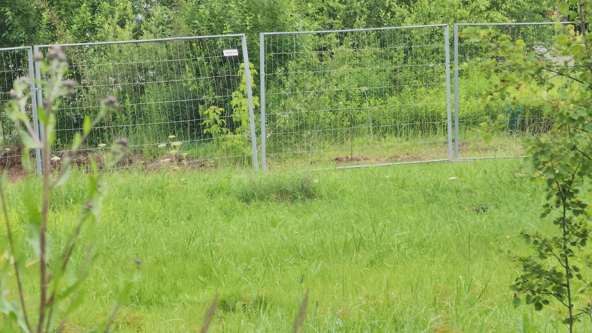 Павловский Посад , Парк , Благоустройство ,