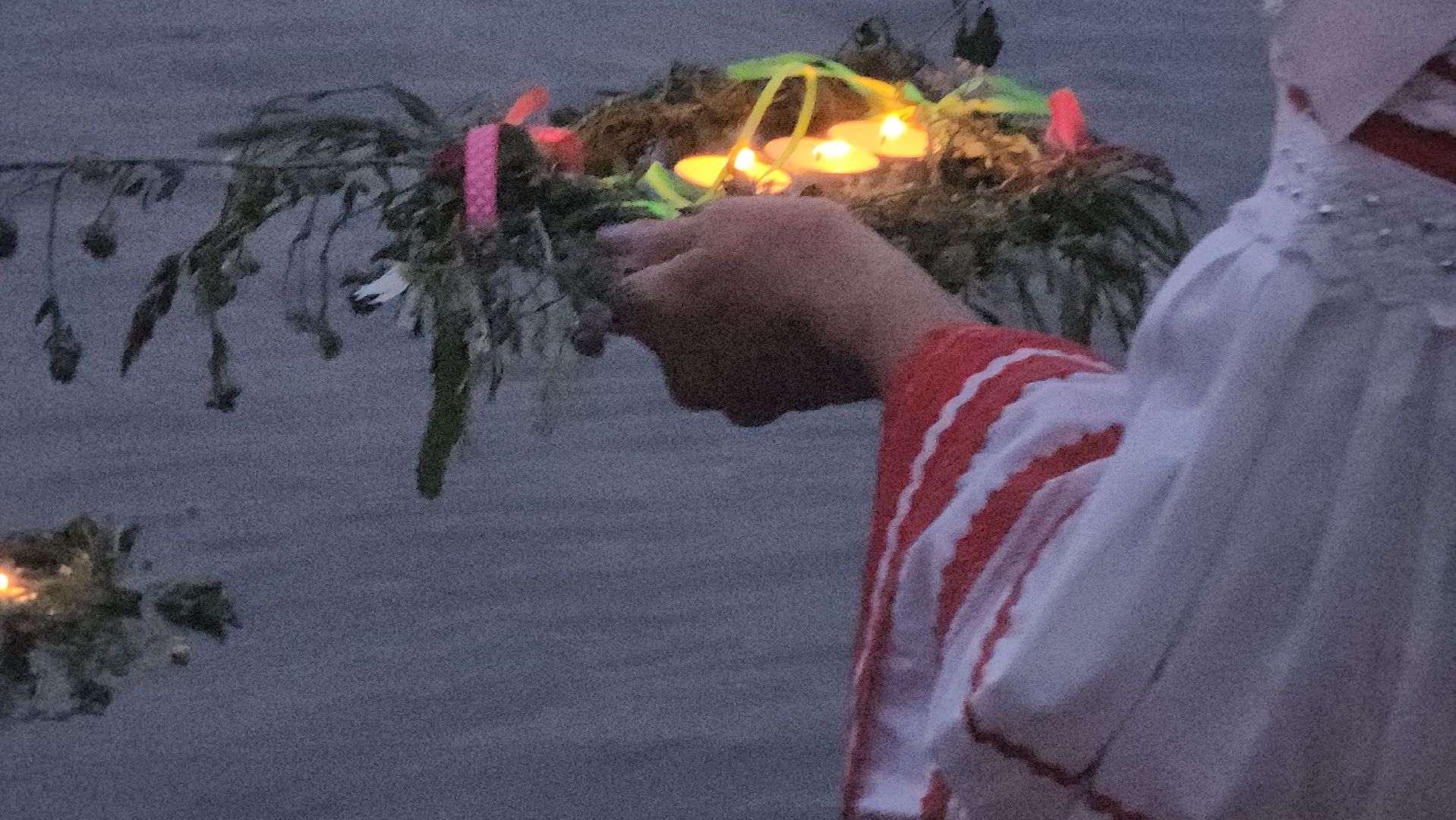 долгопрудный, кмц долгопрудный, Иван-Купала, славянские традиции, парк мысово,венки, костер,