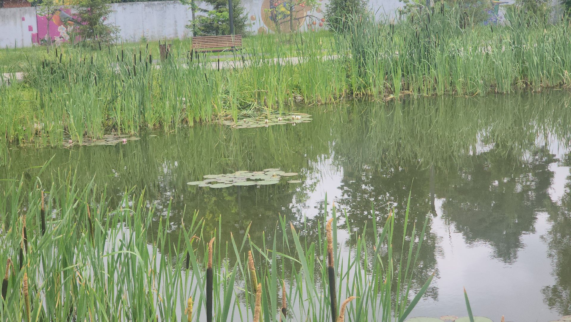 Павловский Посад , Парк, Отдых ,