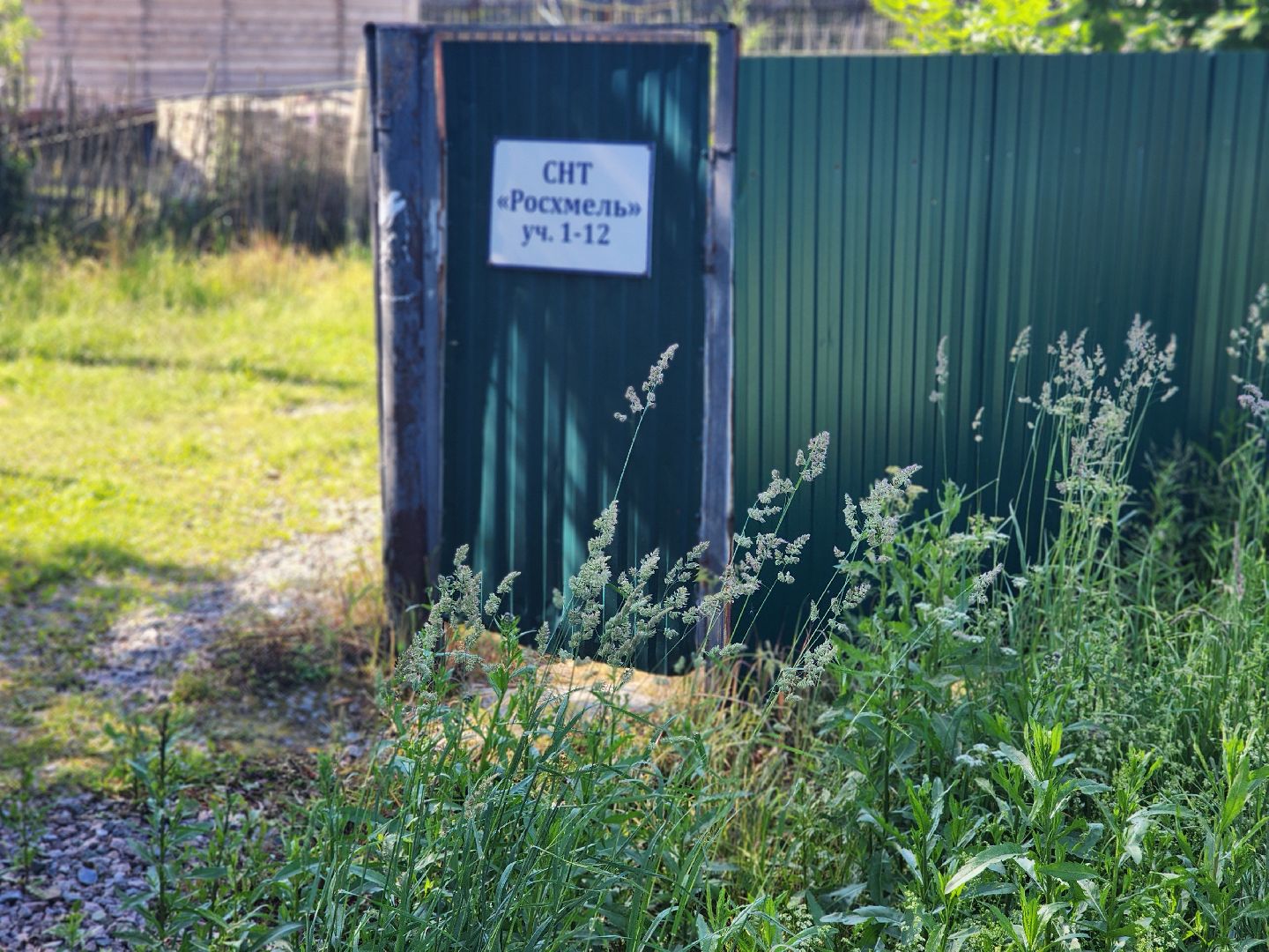 сергиево-посадский городской округ, пушкинский городской округ, росхмель, дороги, асфальтирование дорог, антипино, программа губернатора мо,