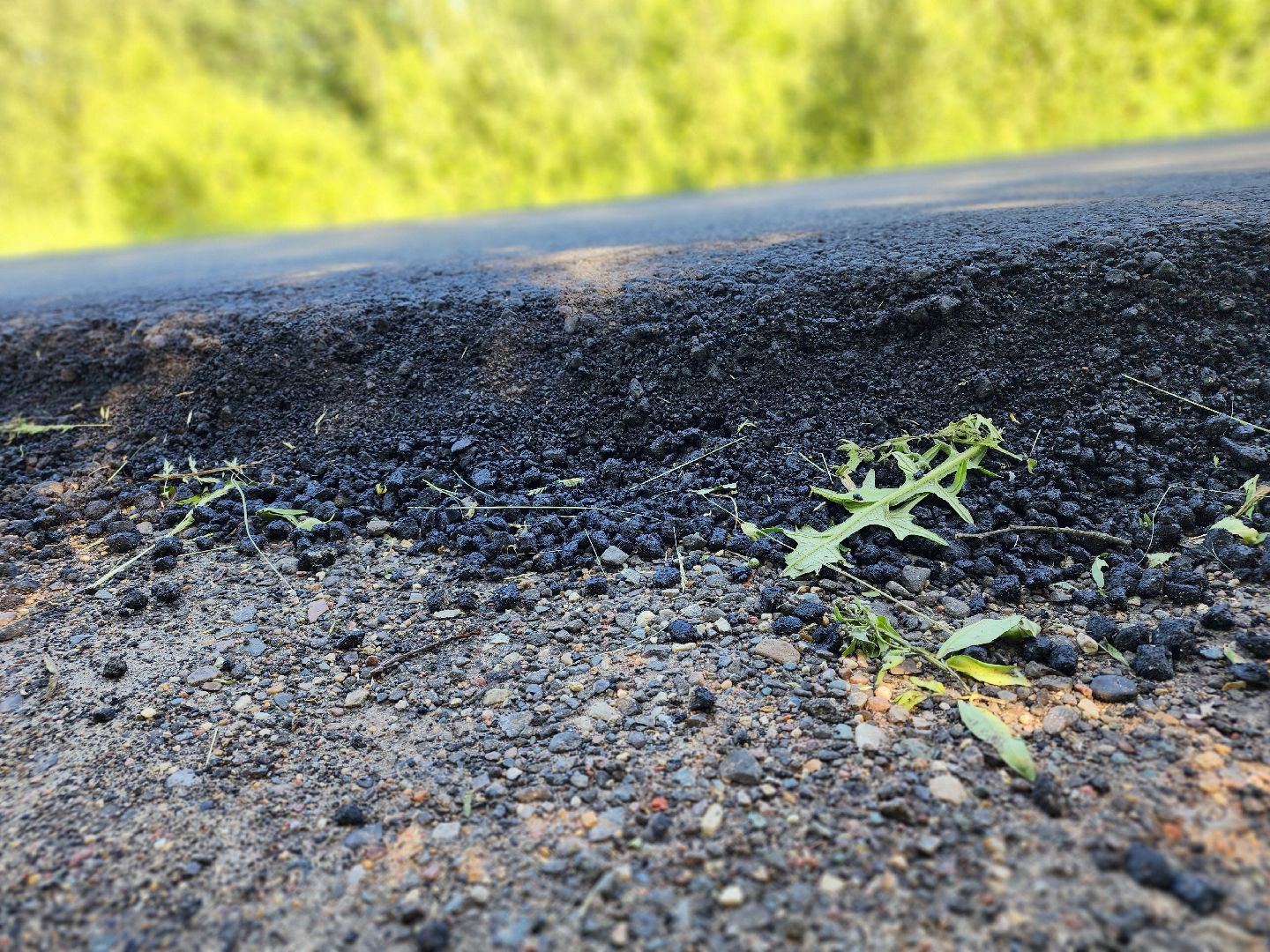 сергиево-посадский городской округ, пушкинский городской округ, росхмель, дороги, асфальтирование дорог, антипино, программа губернатора мо,