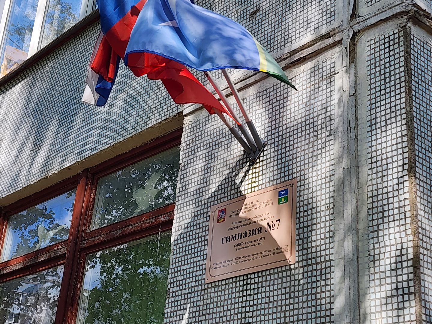 чехов, гимназия 7, дошкольное отделение,  заместитель директора гимназии, елена каргашилова, победитель муниципального этапа конкурса, премия губернатора московской области, номинация дебют, образование,биография, достижения, инновационные технологии, умные решения, нестандартные учебные практики,