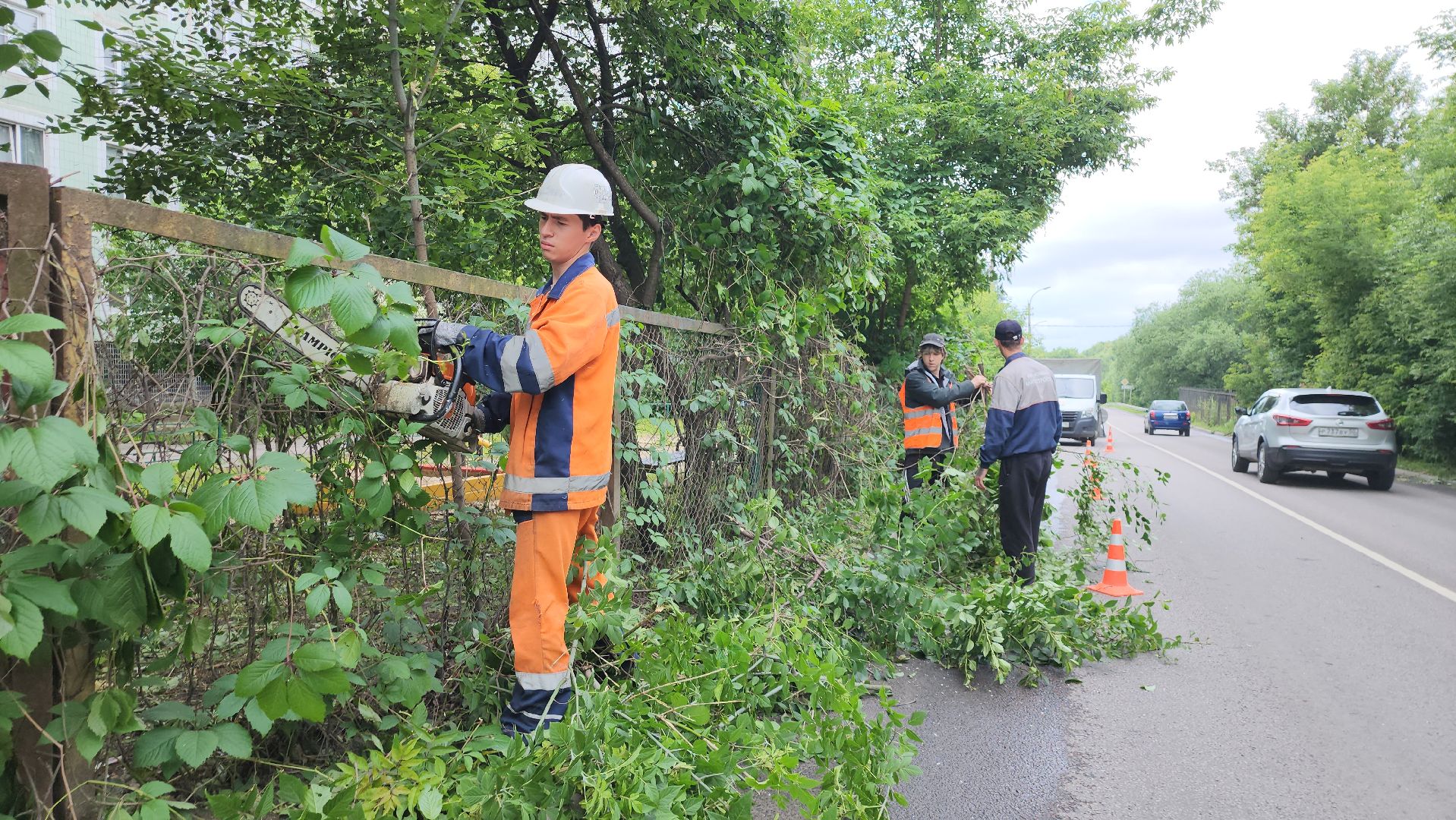 серпухов, подмосковье, опиловка деревьев,