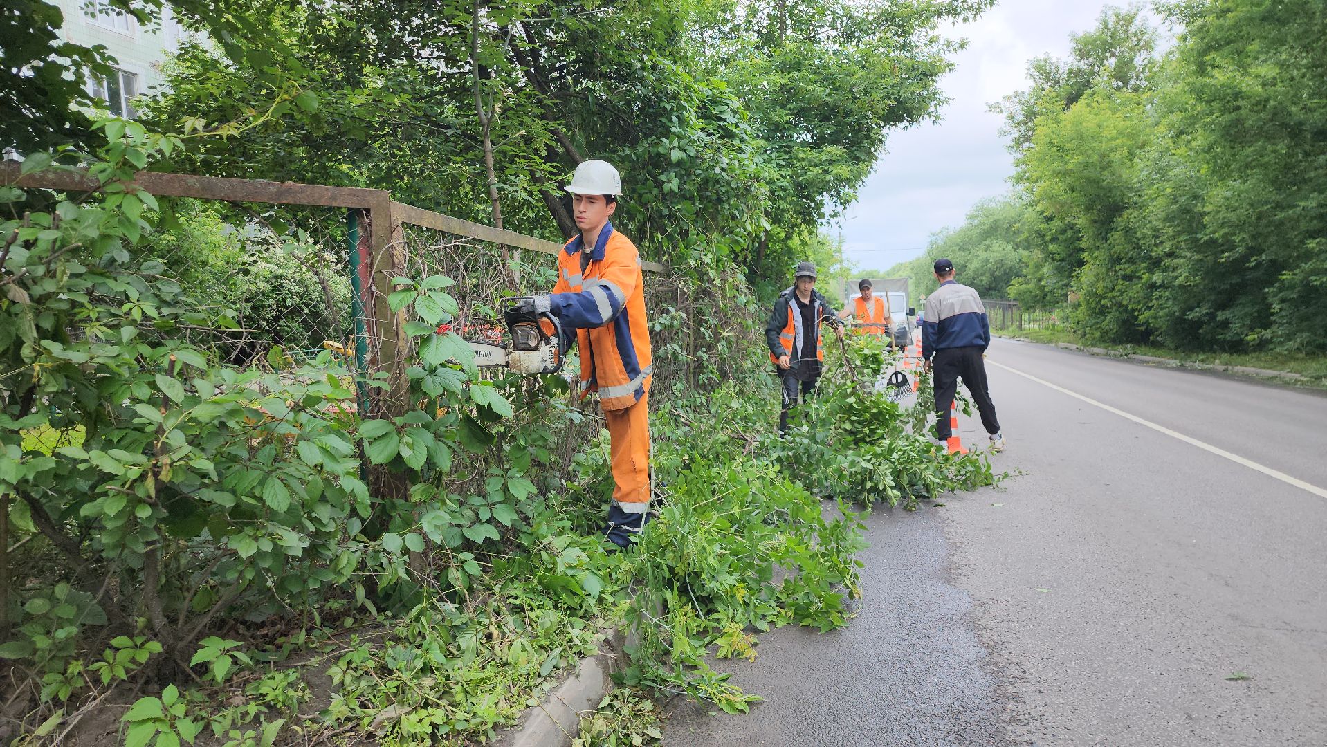 серпухов, подмосковье, опиловка деревьев,