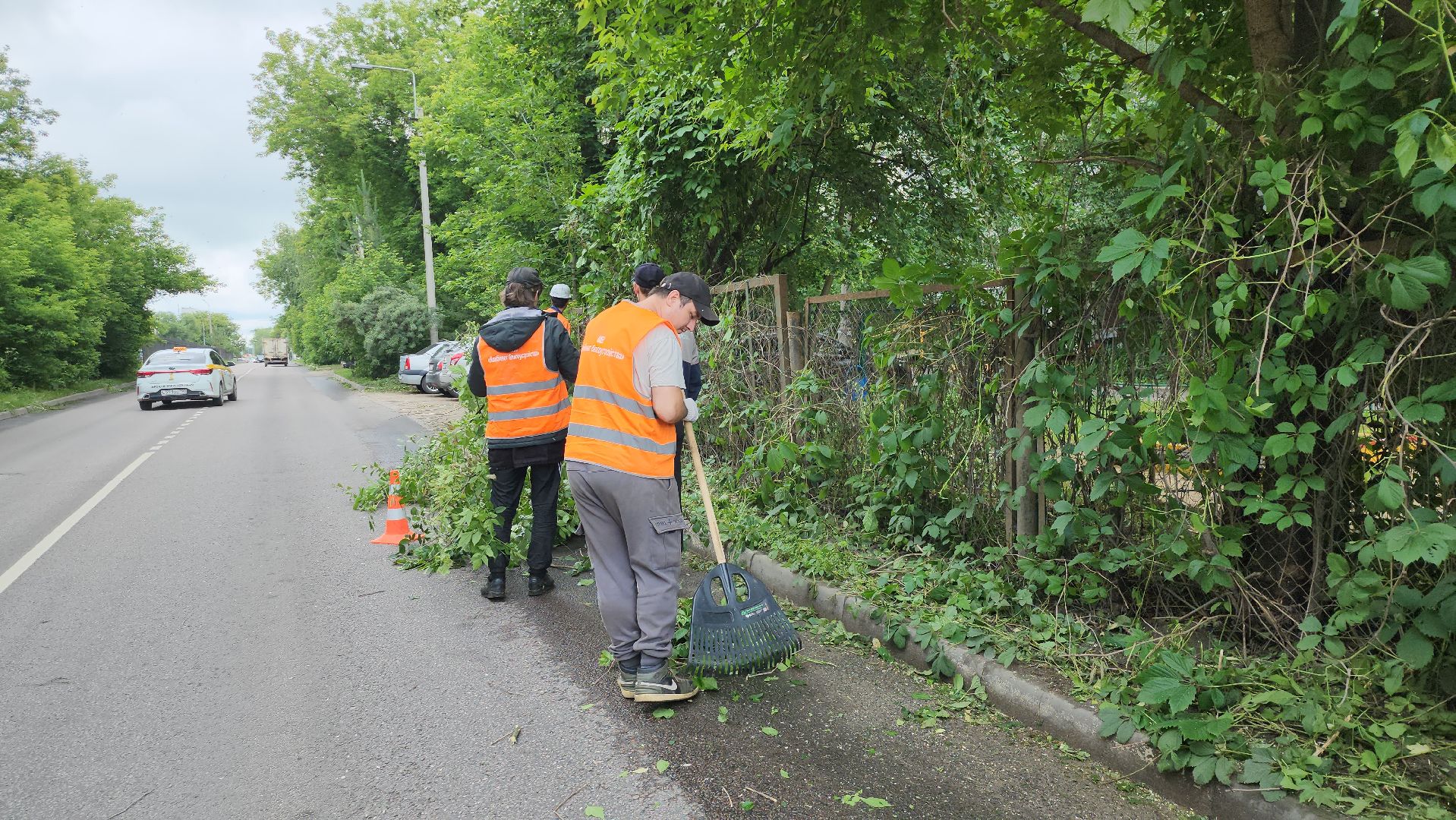 серпухов, подмосковье, опиловка деревьев,