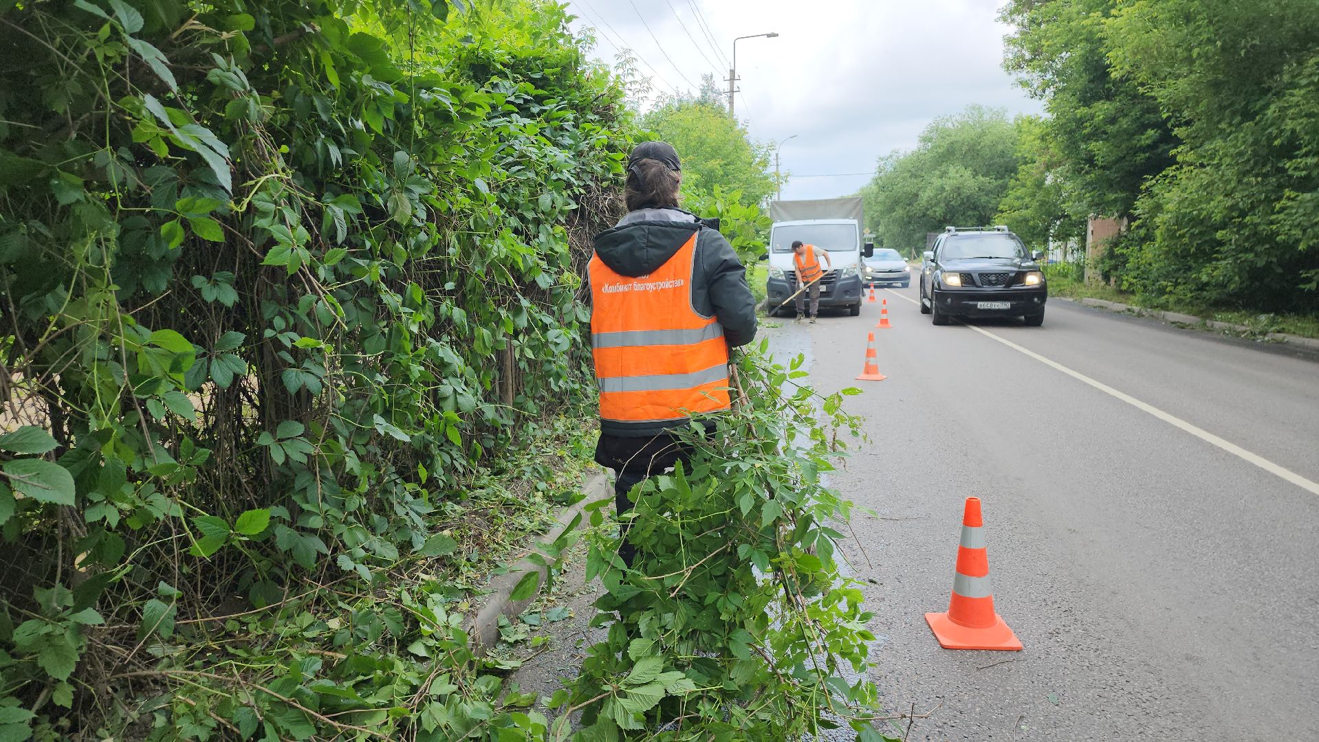 серпухов, подмосковье, опиловка деревьев,