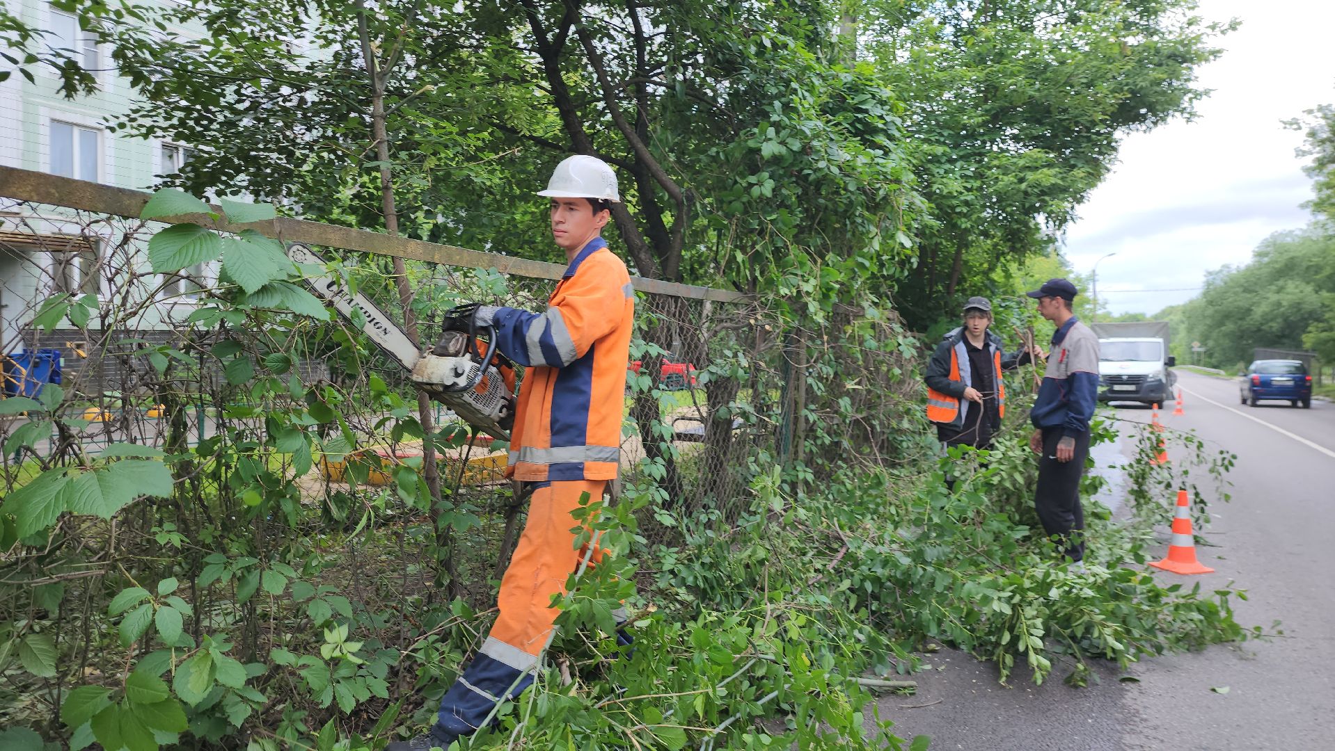 серпухов, подмосковье, опиловка деревьев,
