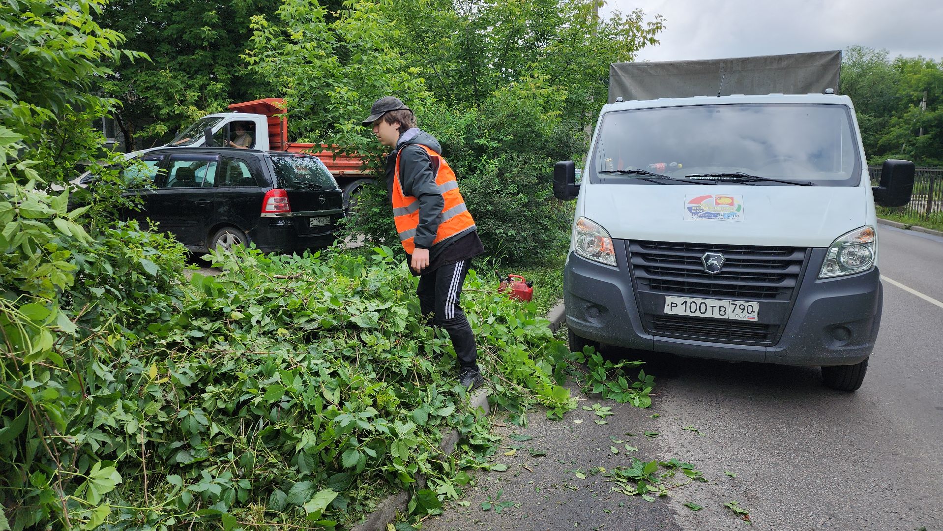 серпухов, подмосковье, опиловка деревьев,