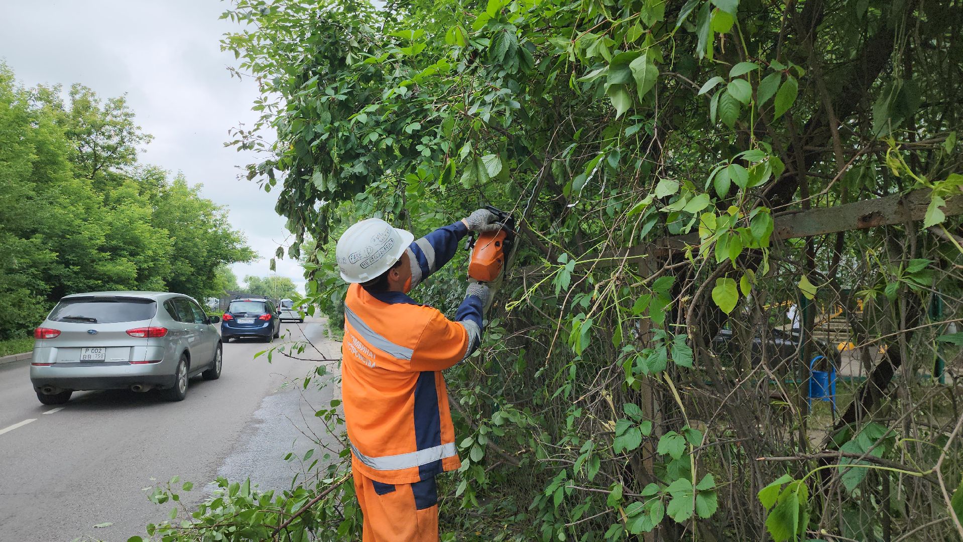 серпухов, подмосковье, опиловка деревьев,