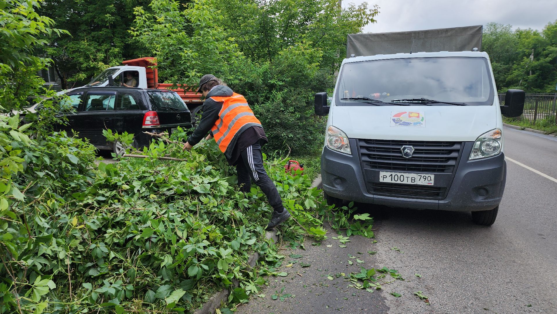 серпухов, подмосковье, опиловка деревьев,