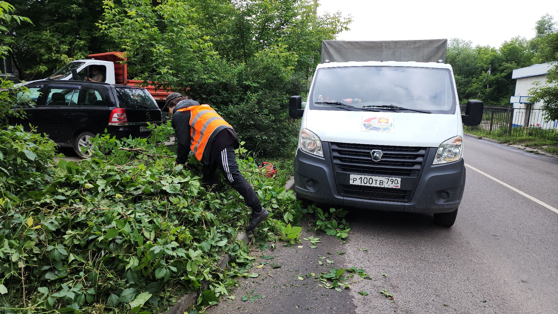 серпухов, подмосковье, опиловка деревьев,