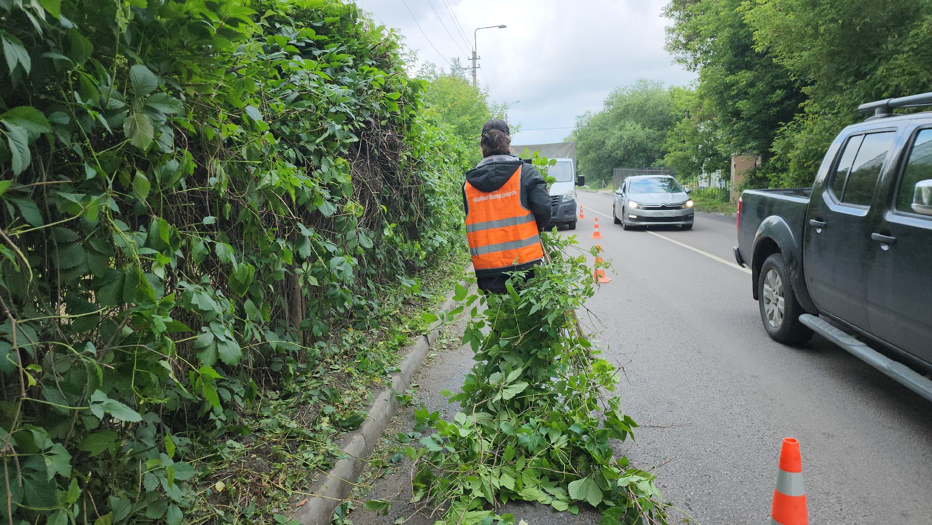 серпухов, подмосковье, опиловка деревьев,