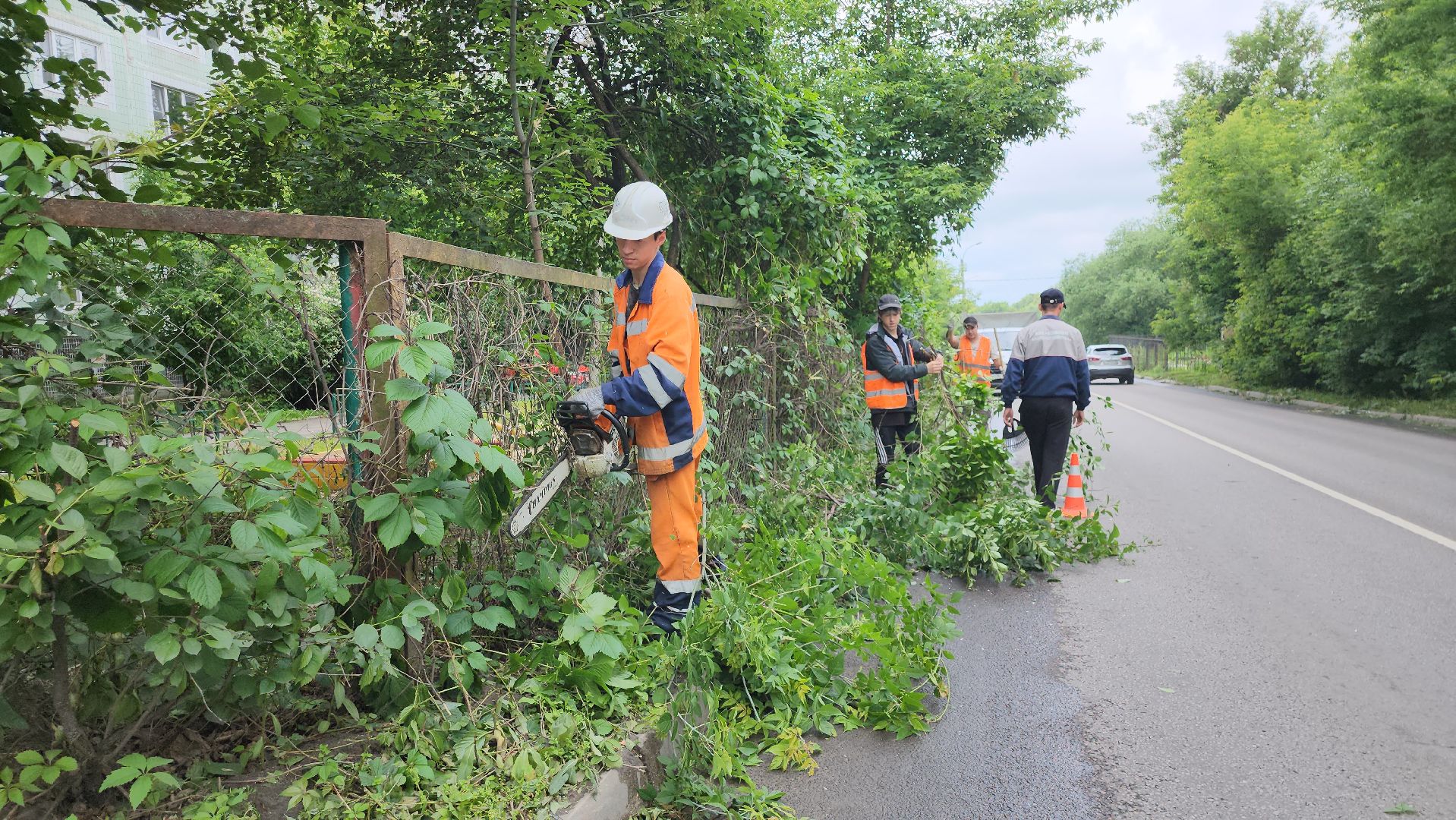 серпухов, подмосковье, опиловка деревьев,